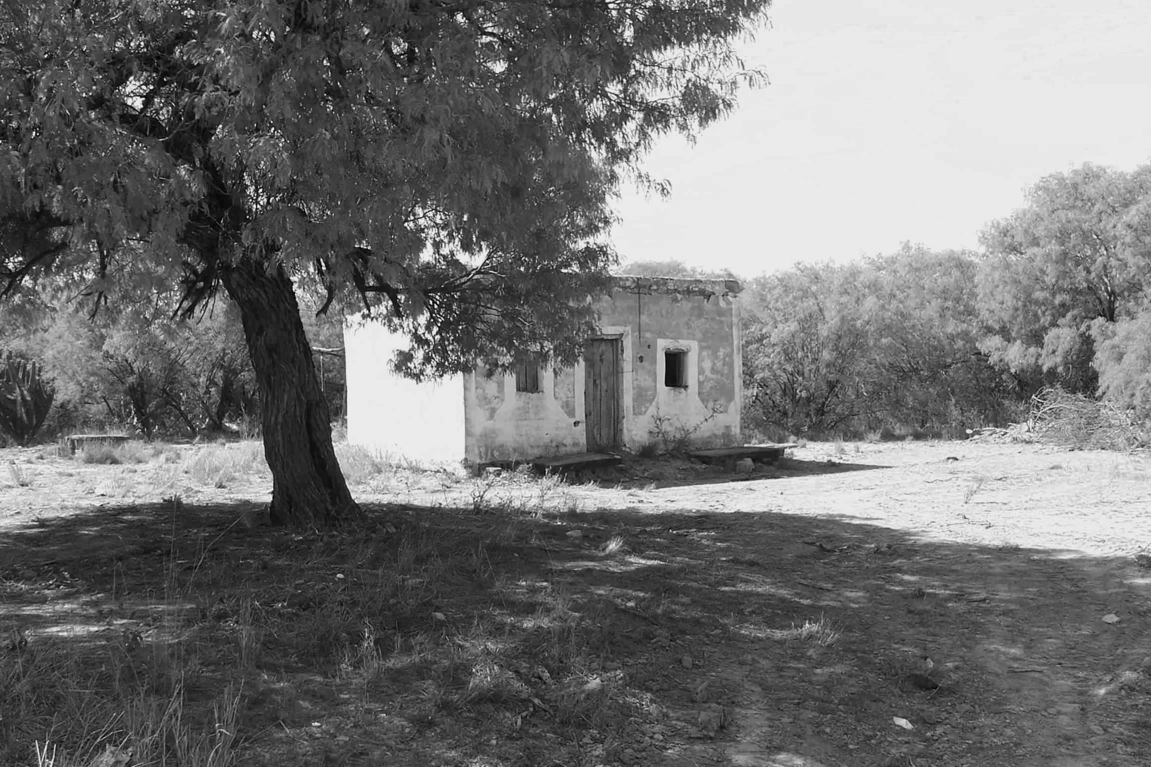 An old house in a rural area, with a large tree in the foreground and sparse vegetation around showing the history and family interest in building homes.