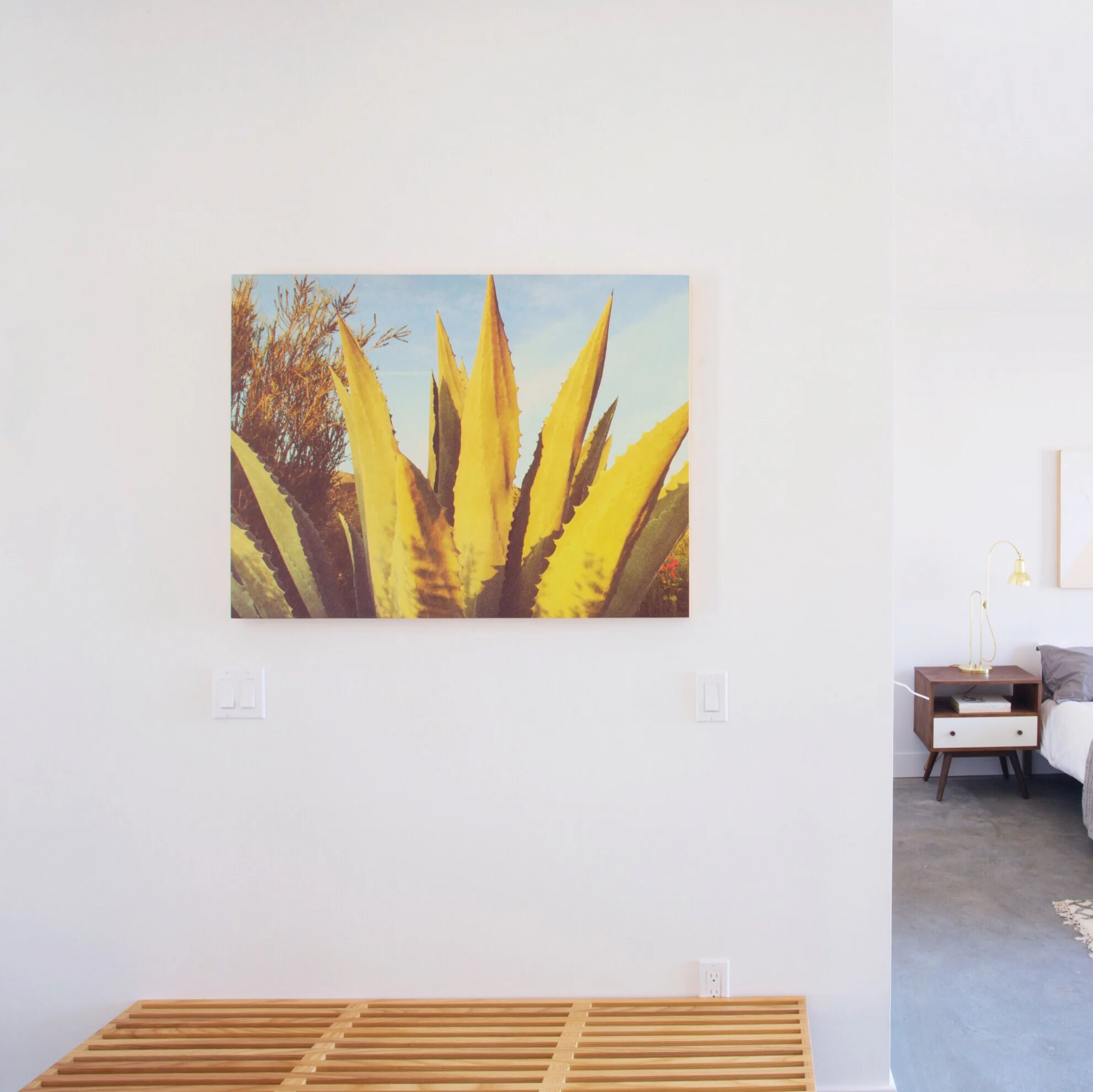 RYAN_SNOW_DIGITAL_ANALOGUE_5_agave_n3_staged1.JPG