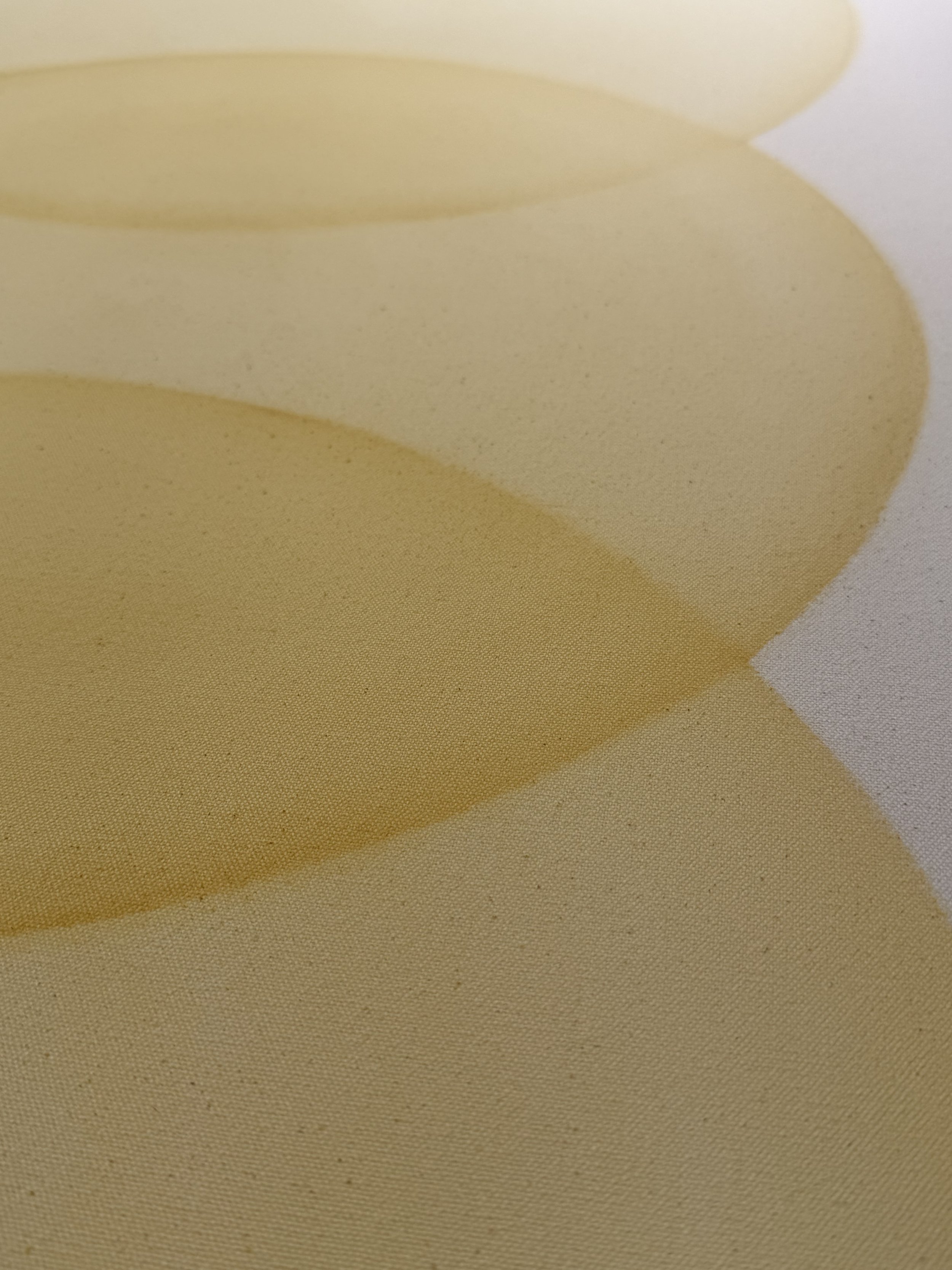 Ryan Snow Shapes Gradient in prog 20262.jpg