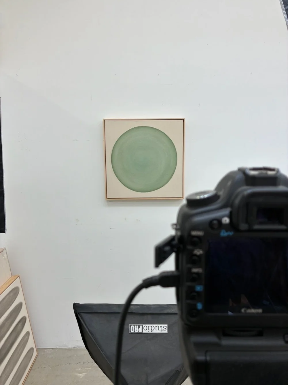 Ryan Snow Shapes Gradient CIRCLE IN SAGE1.jpeg (Copy)