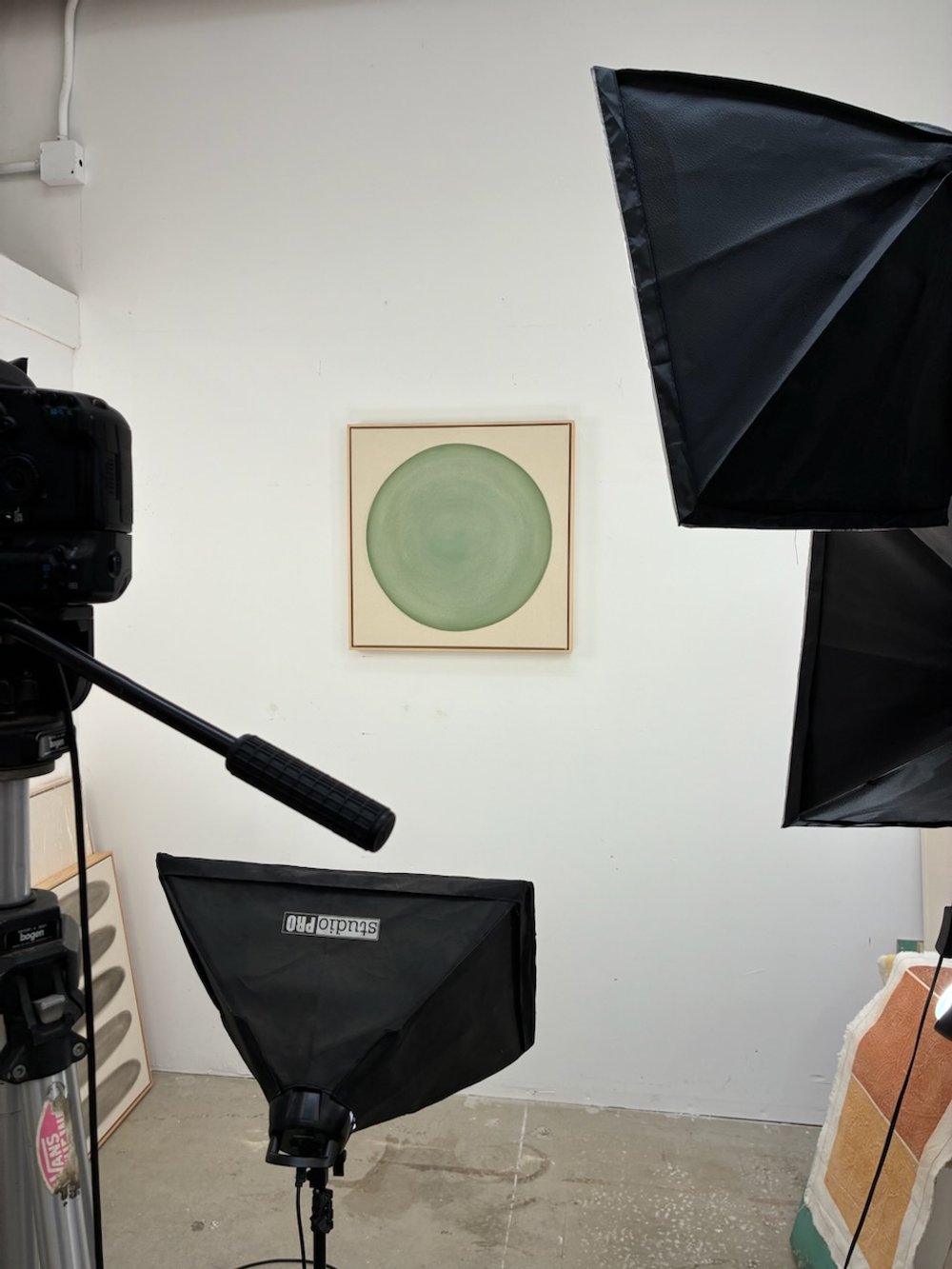 Ryan Snow Shapes Gradient CIRCLE IN SAGE11.jpeg (Copy)