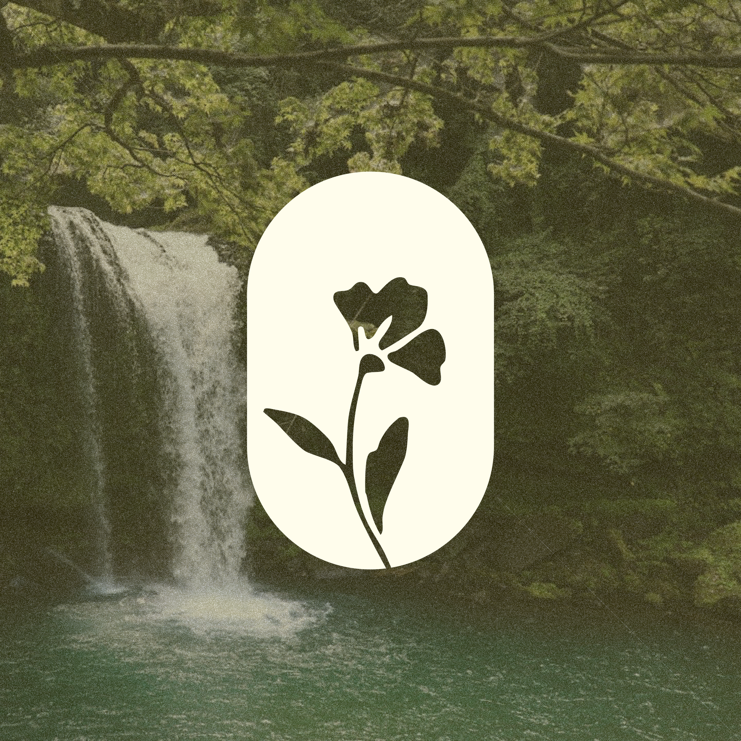 MRP Flower Waterfall.png