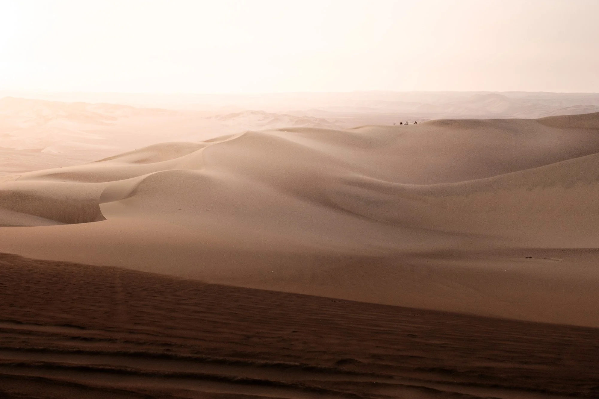 Dunes in a desert landscape with soft, sweeping sand formations and a pale sky in the background.
