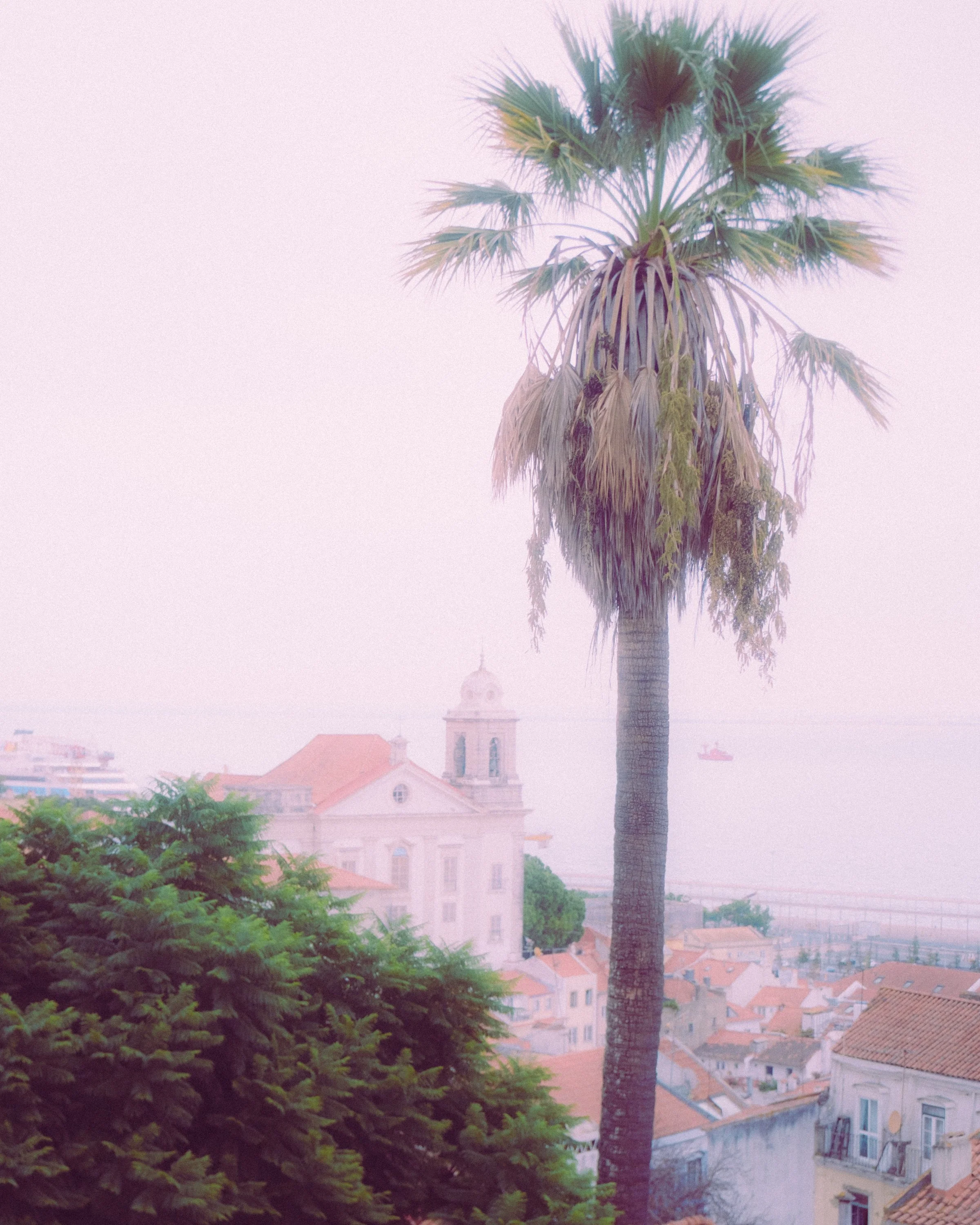 Portugal-400.jpg
