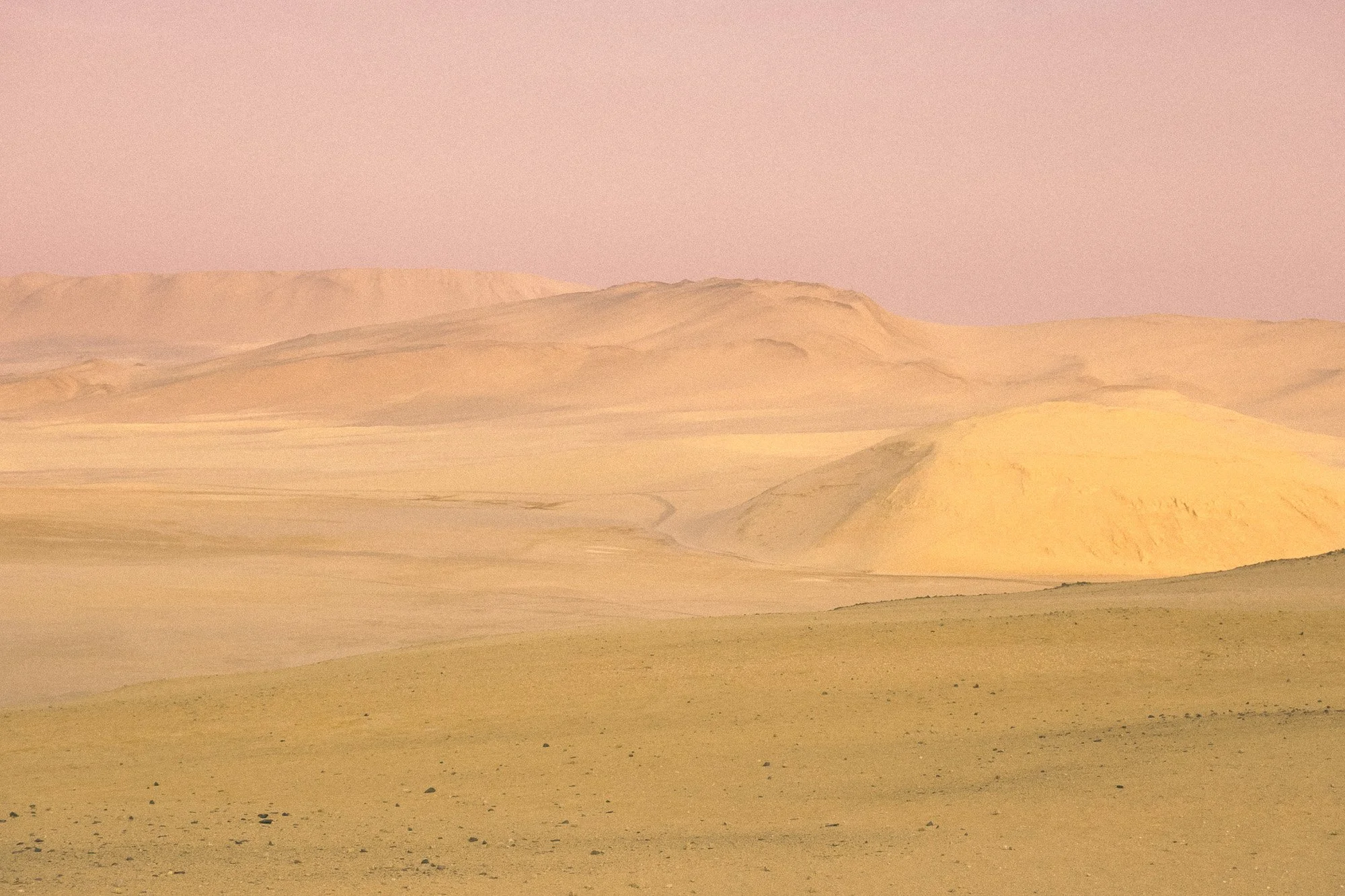 Desert landscape with rolling sand dunes under a pinkish sky at dusk or dawn.