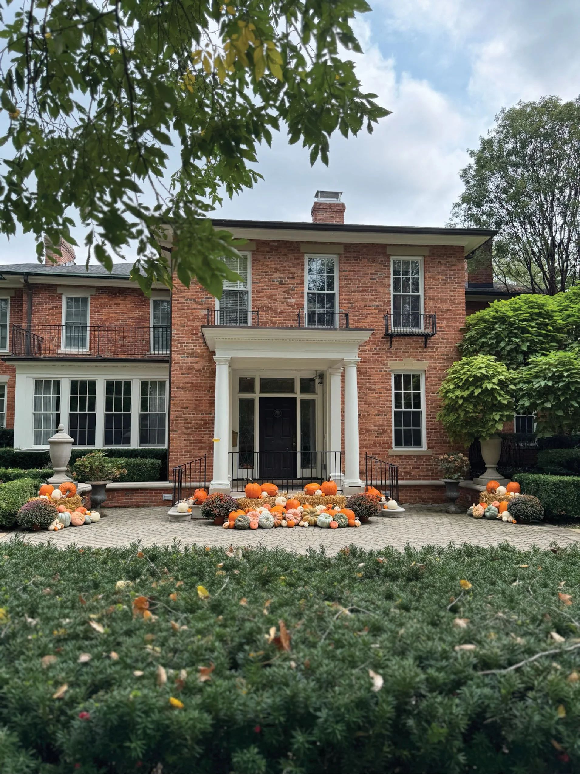 A variety of pumpkins in different colors, shapes, and sizes displayed outdoors.