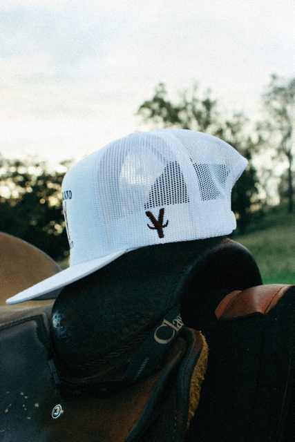 IMG_1969_COLOURTONE_COLOURTONE 2 Medium.png