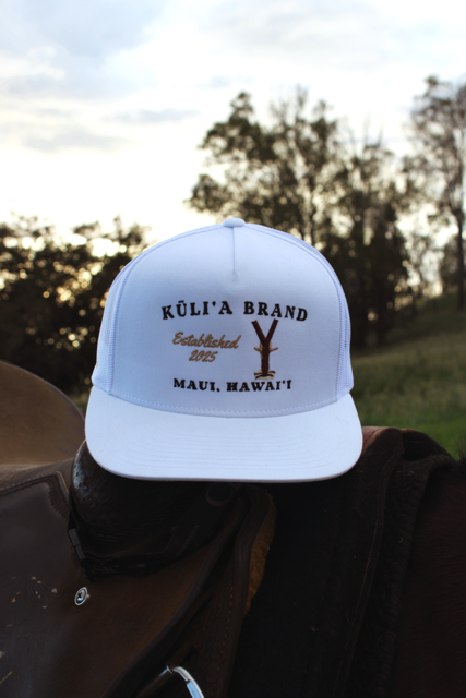 IMG_1968_COLOURTONE 2 Medium.png