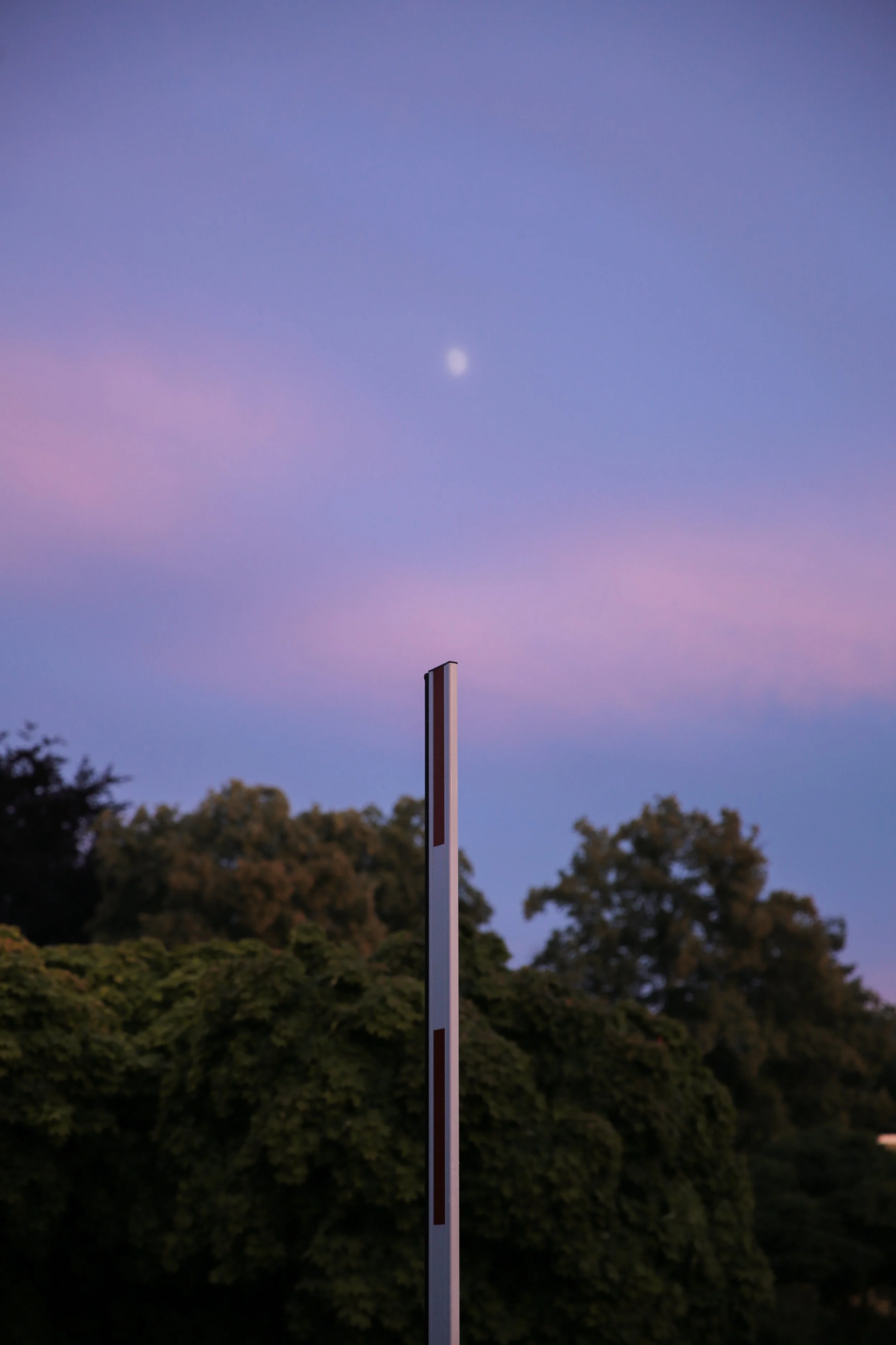 8J3A9826.jpg