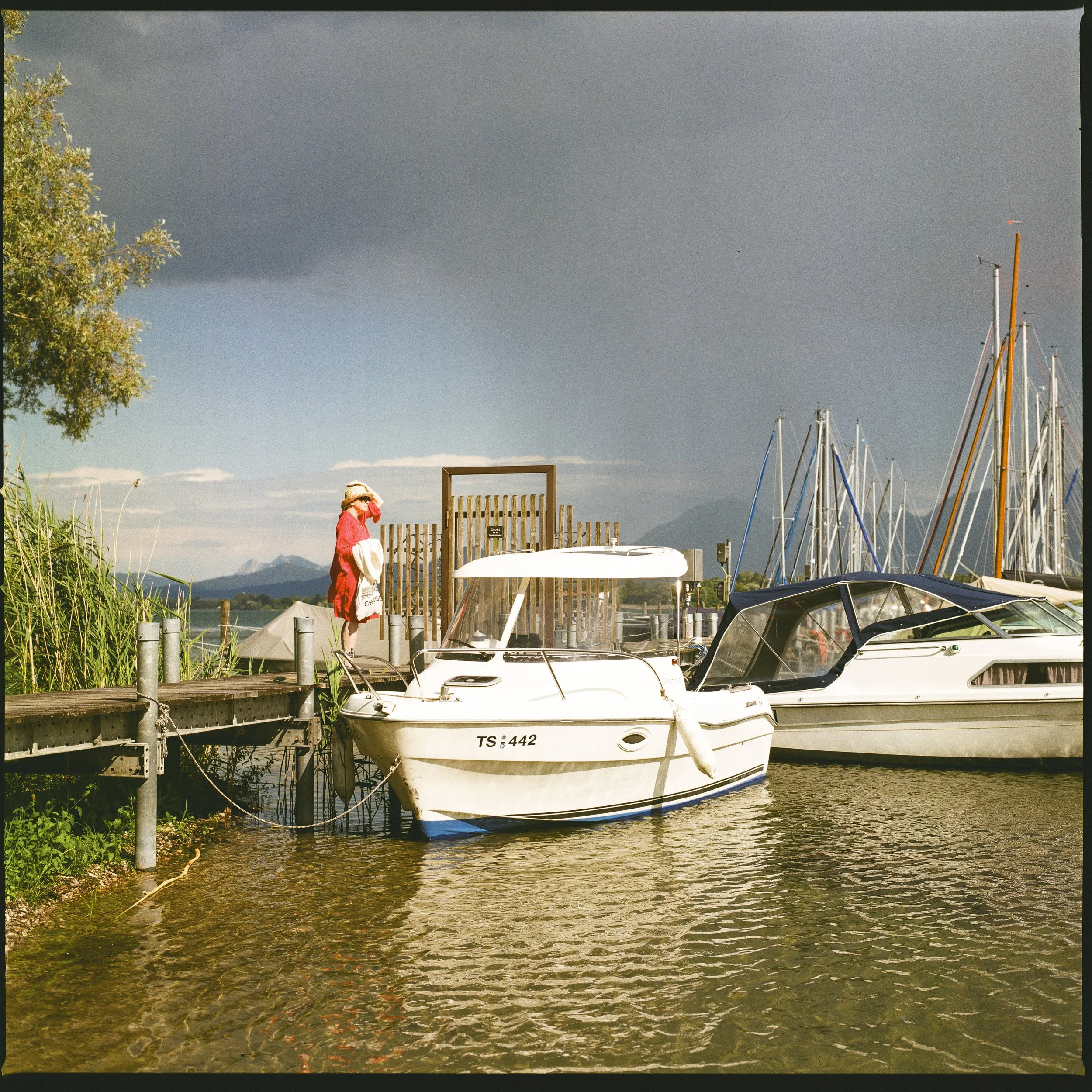 11--9637rufus2557.jpg