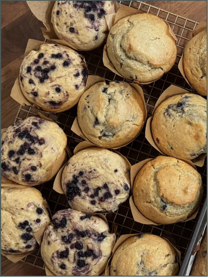 Screenshot 2026-03-14 at 11.09.11 AM.png