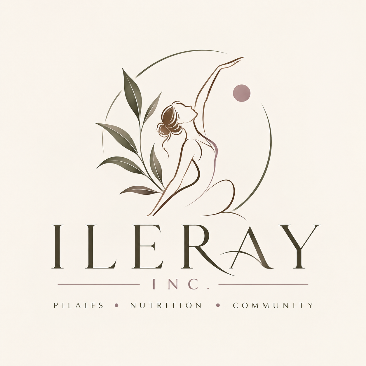 ileray inc.