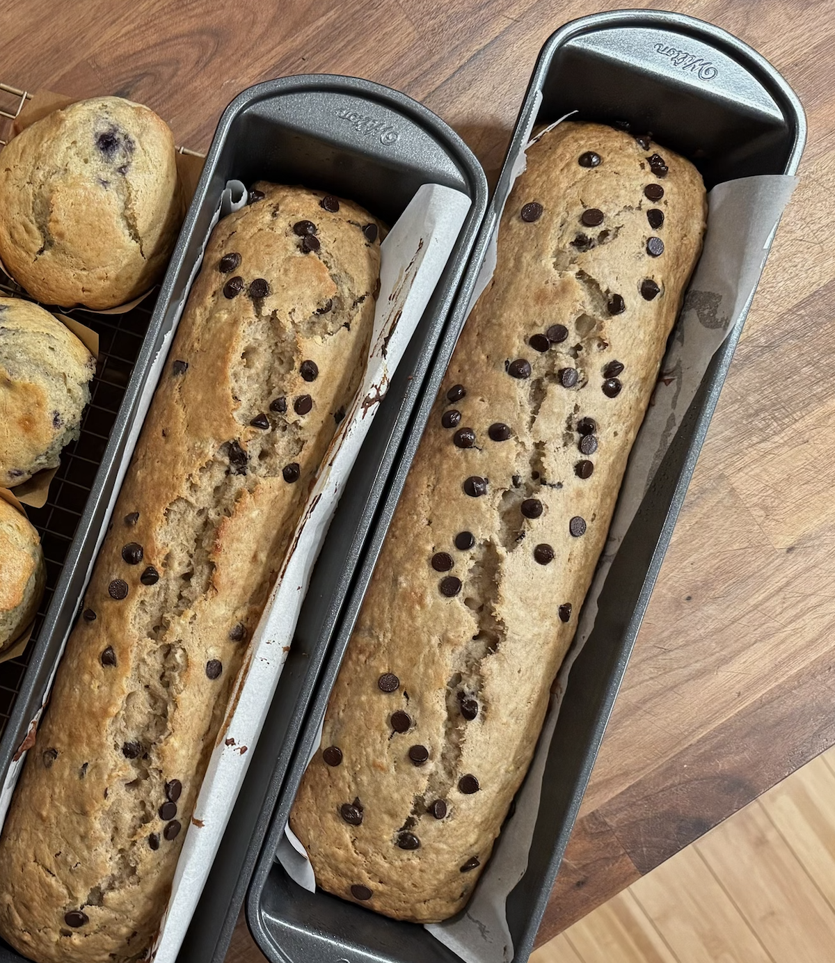 Sourdough Chocolate Chip Banana Loaf