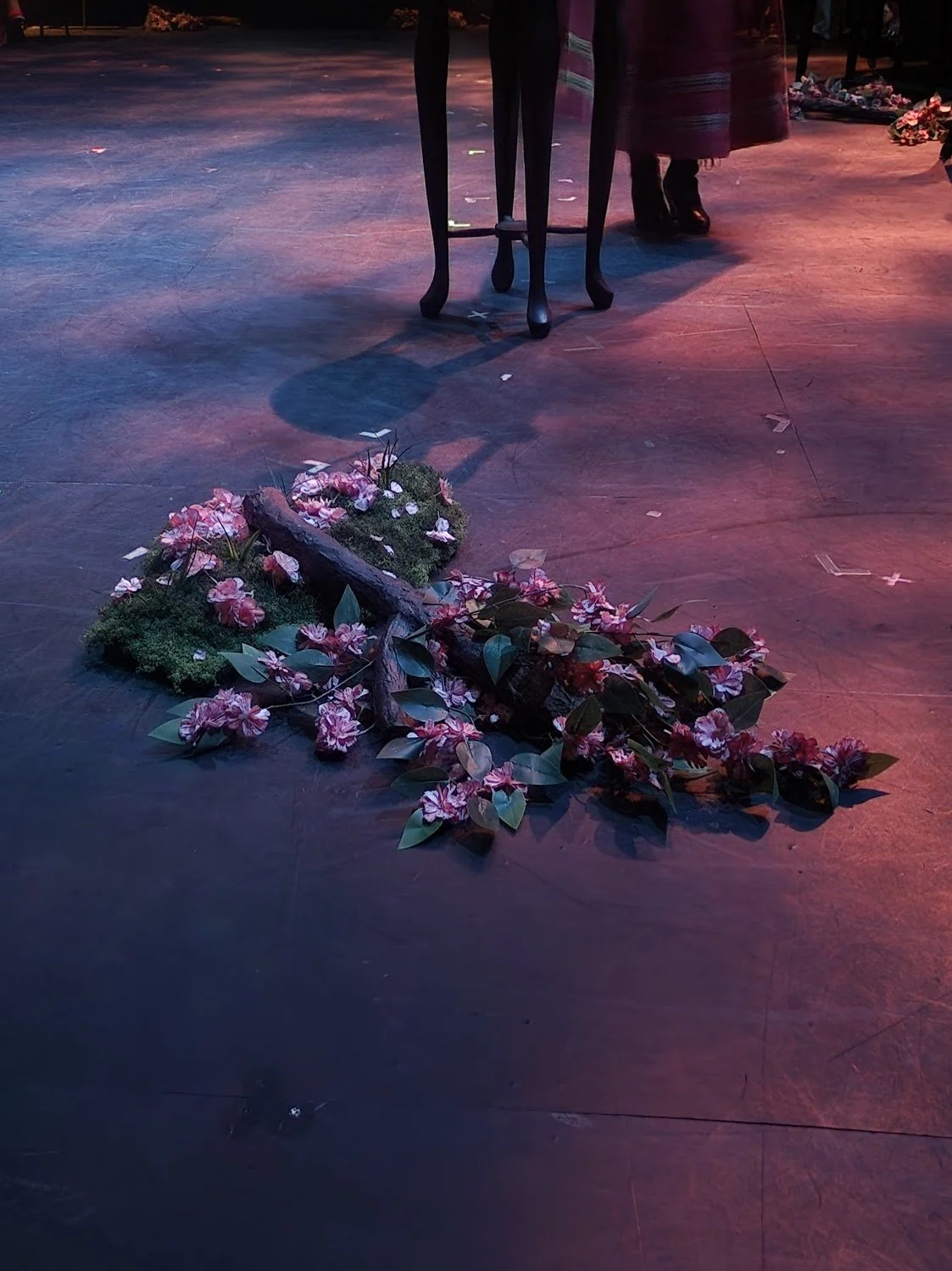 Branches (Cherry Orchard) 