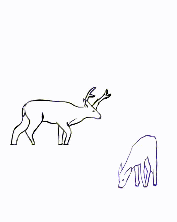 deeranimation.gif