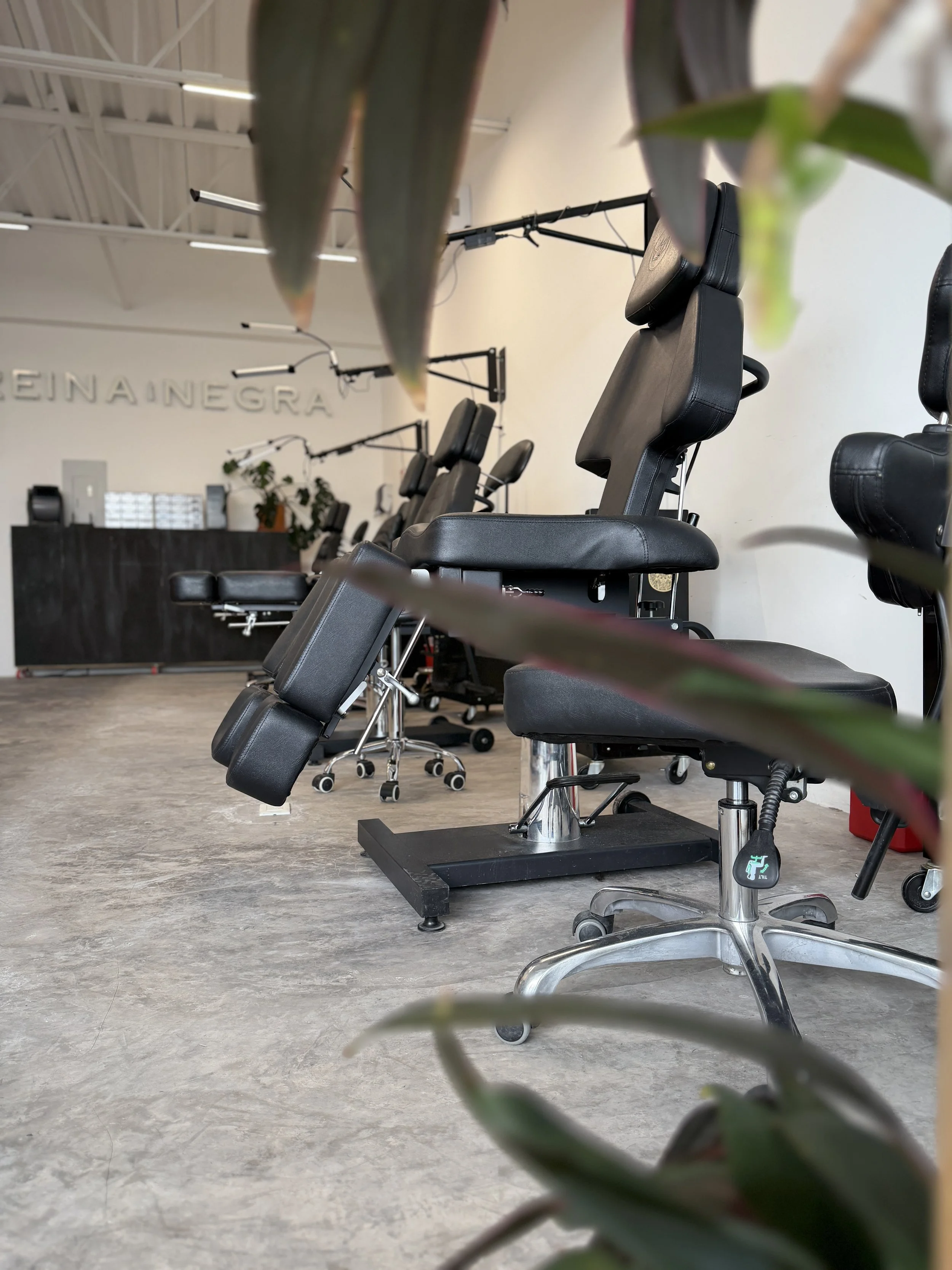 Salón de estética con sillones de tratamiento y plantas decorativas.