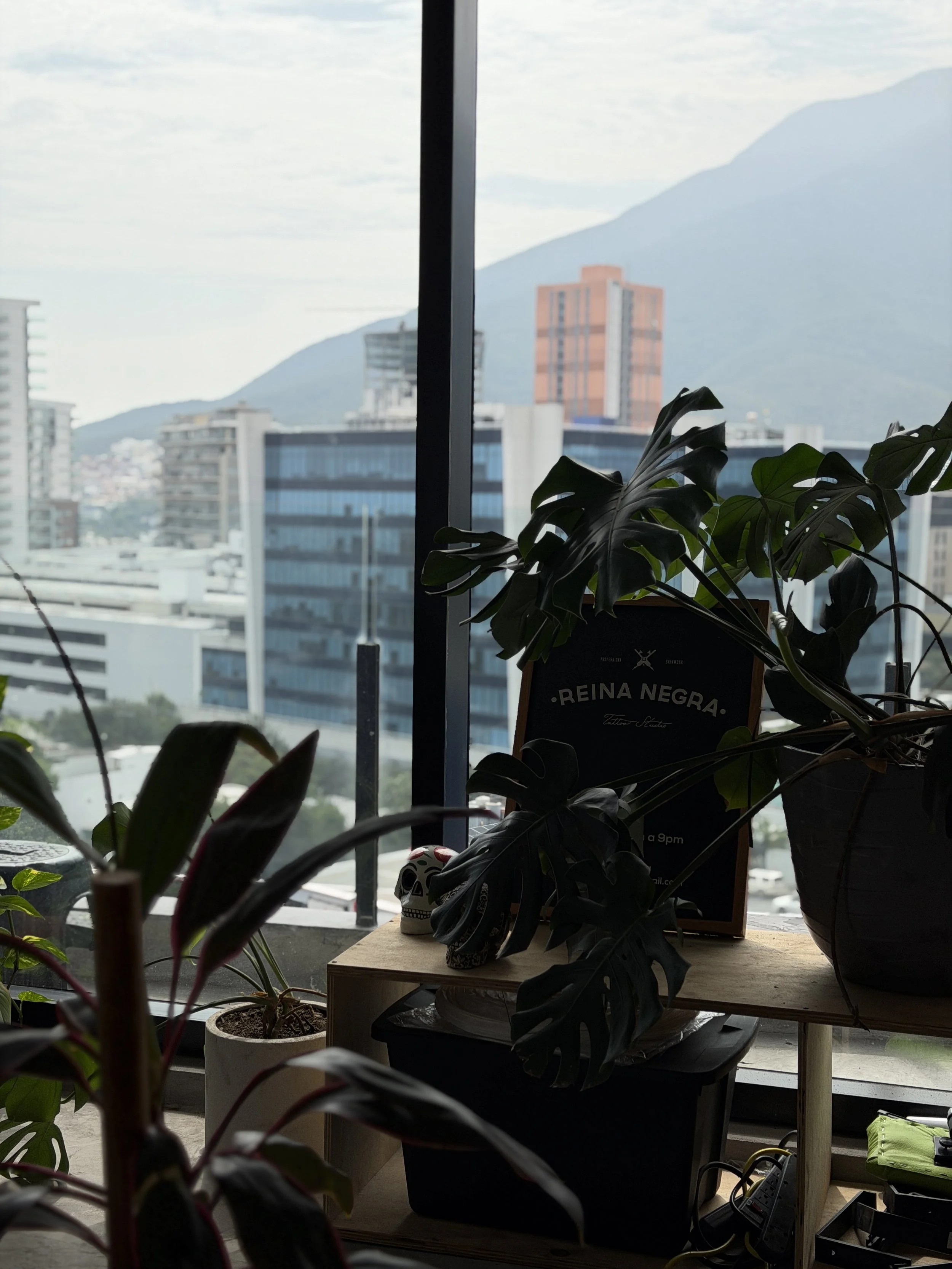 Vista desde una ventana con plantas en primer plano, edificios altos en el fondo y montañas al fondo, en un ambiente interior con mobiliario de oficina.