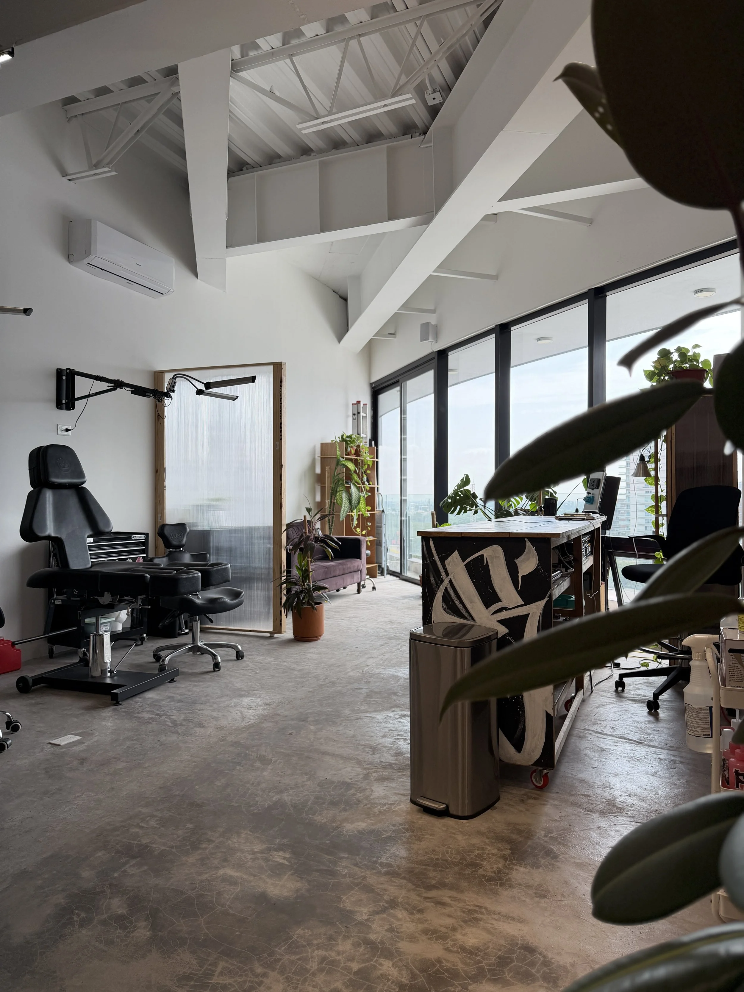 Oficina moderna con mesas de trabajo, plantas, ventanas grandes y sillas de oficina.