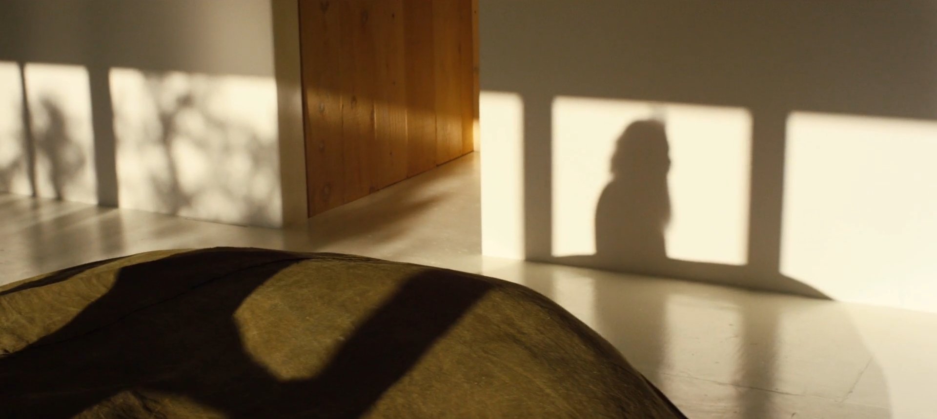 Sunlight casting shadows of a person and a railing on a white wall and a hardwood floor.