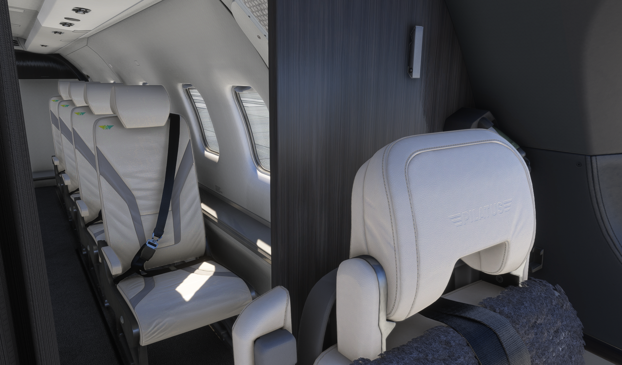 MAL001 Rick R Mirage PC12 NGX 47 New Cabin Interior