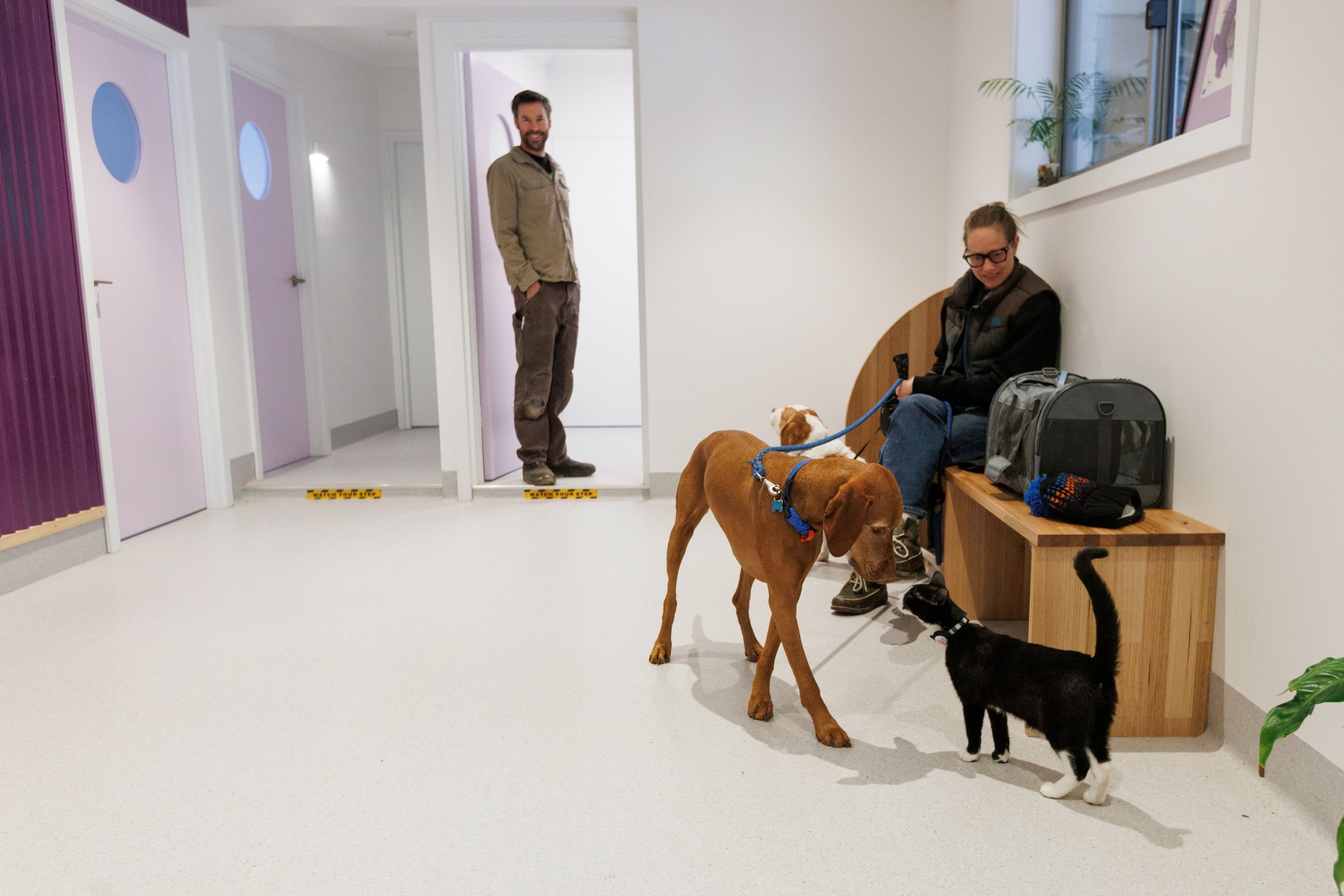 AlpineAnimalVets_044.jpg