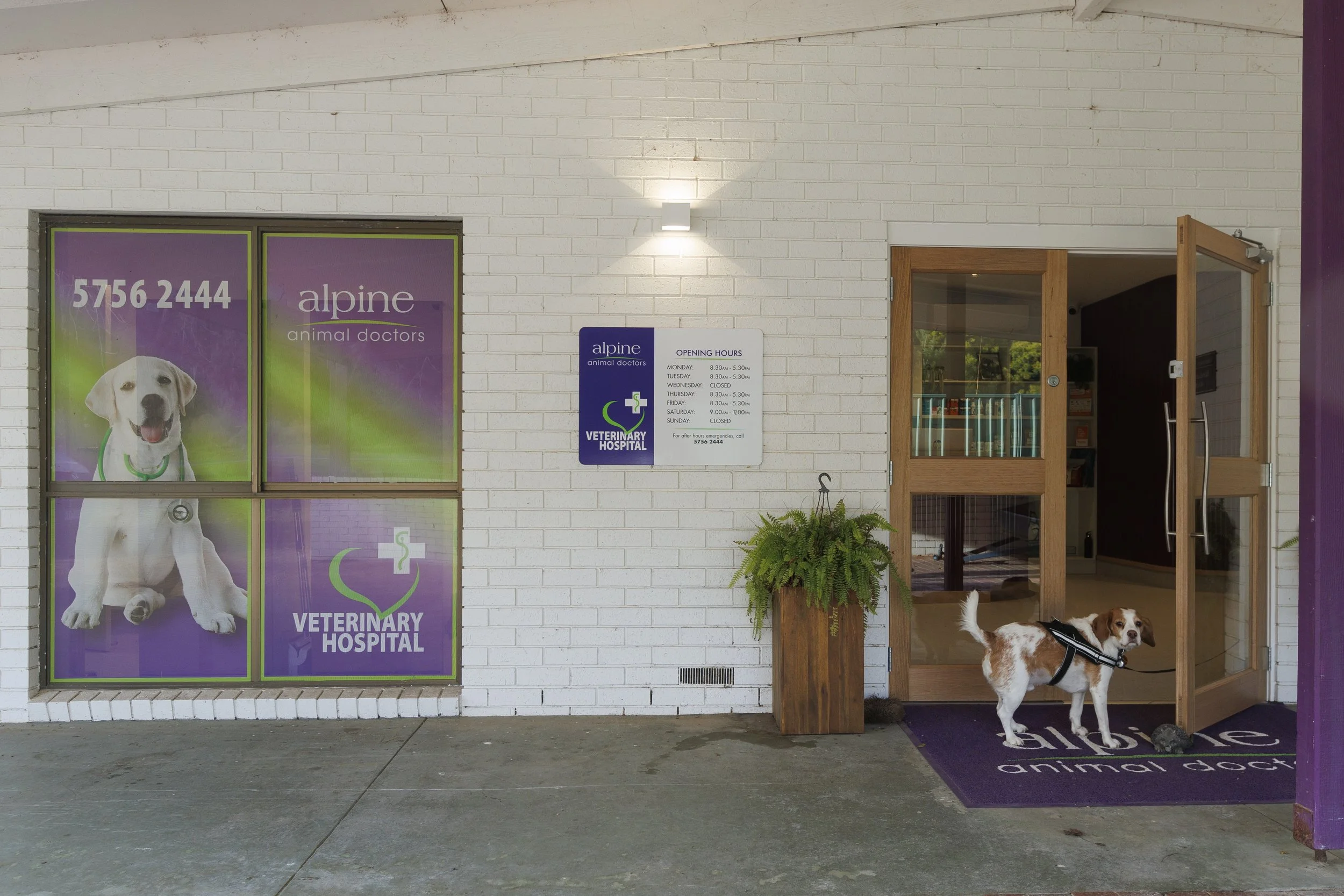 AlpineAnimalVets_045.jpg