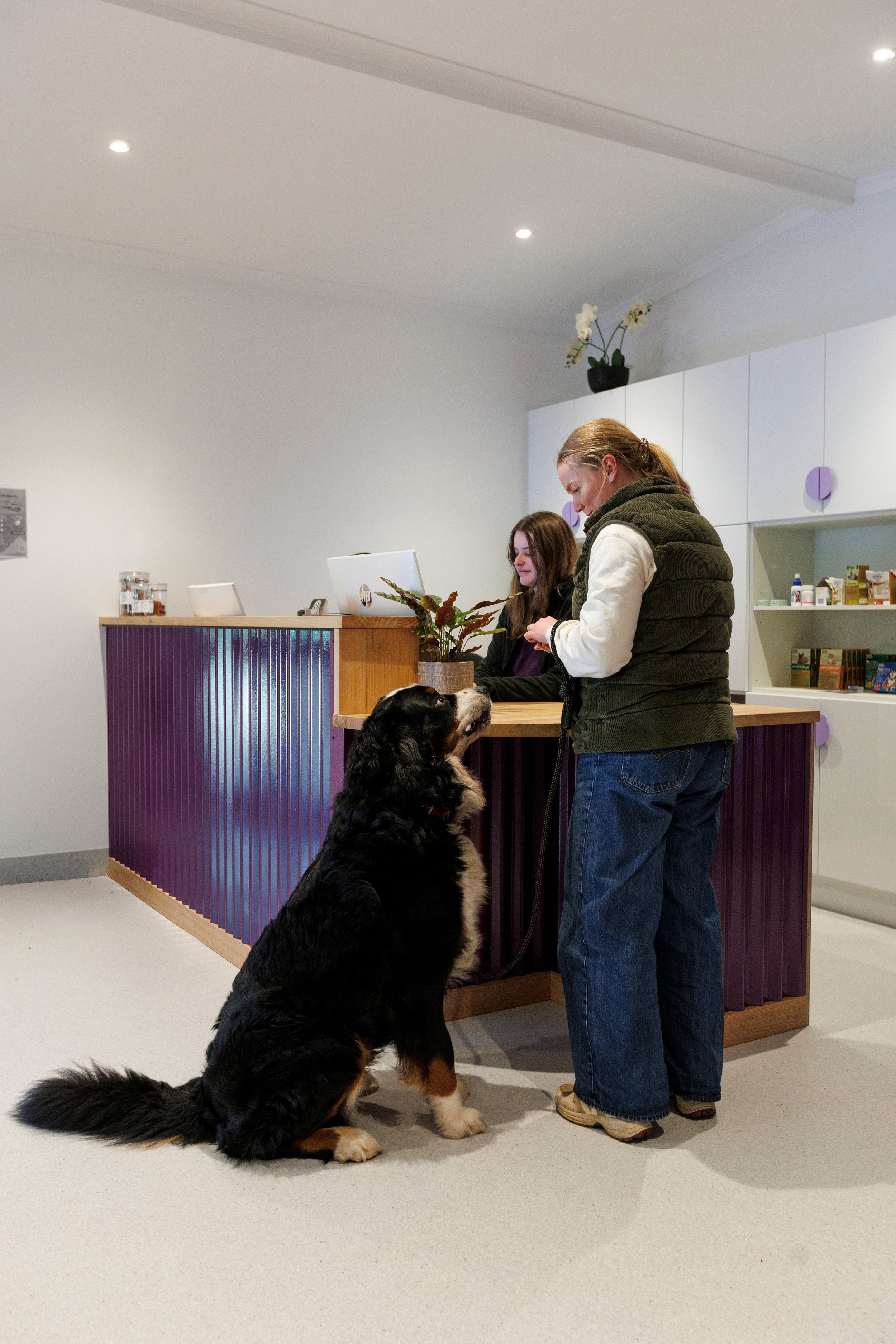 AlpineAnimalVets_034.jpg