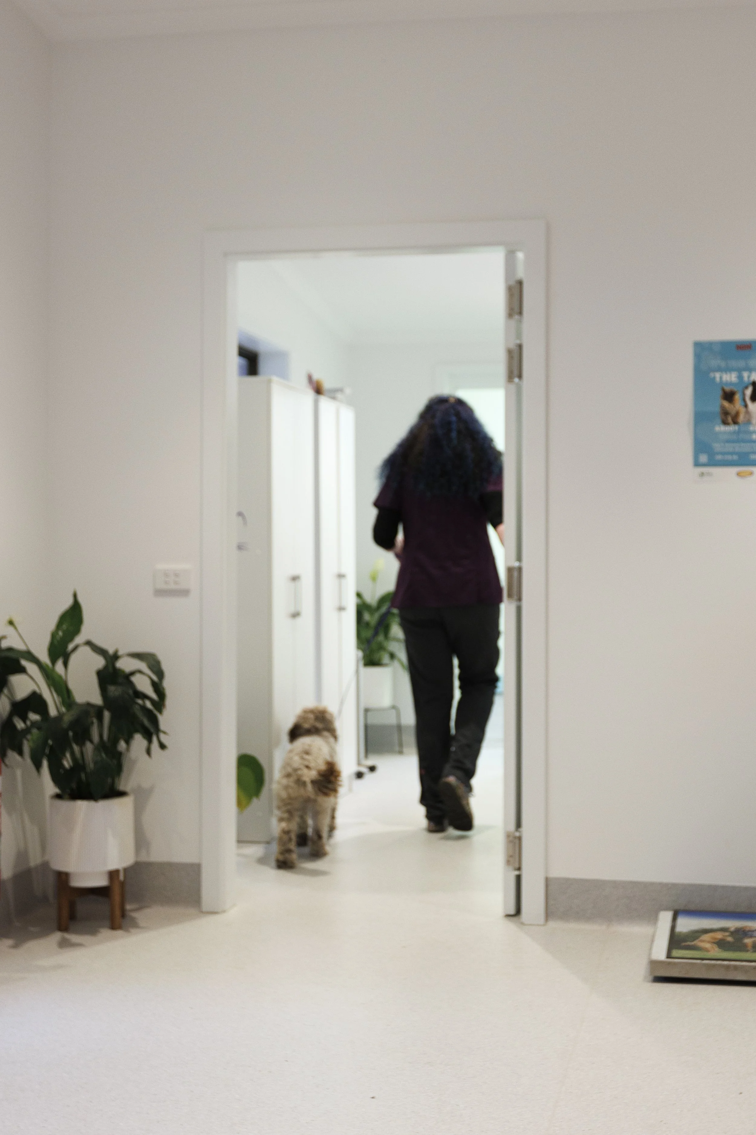 AlpineAnimalVets_028.jpg