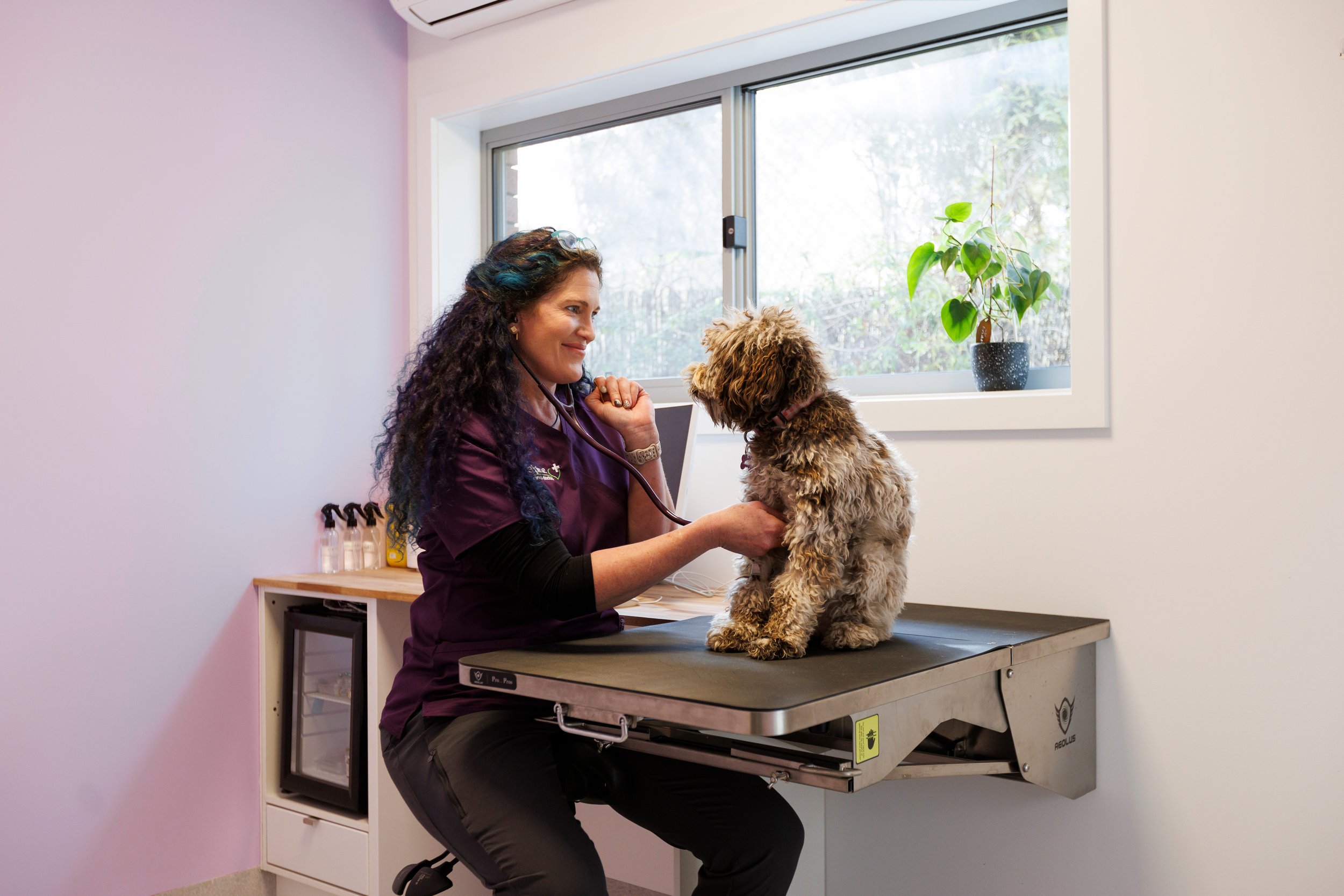 AlpineAnimalVets_035_V2.jpg
