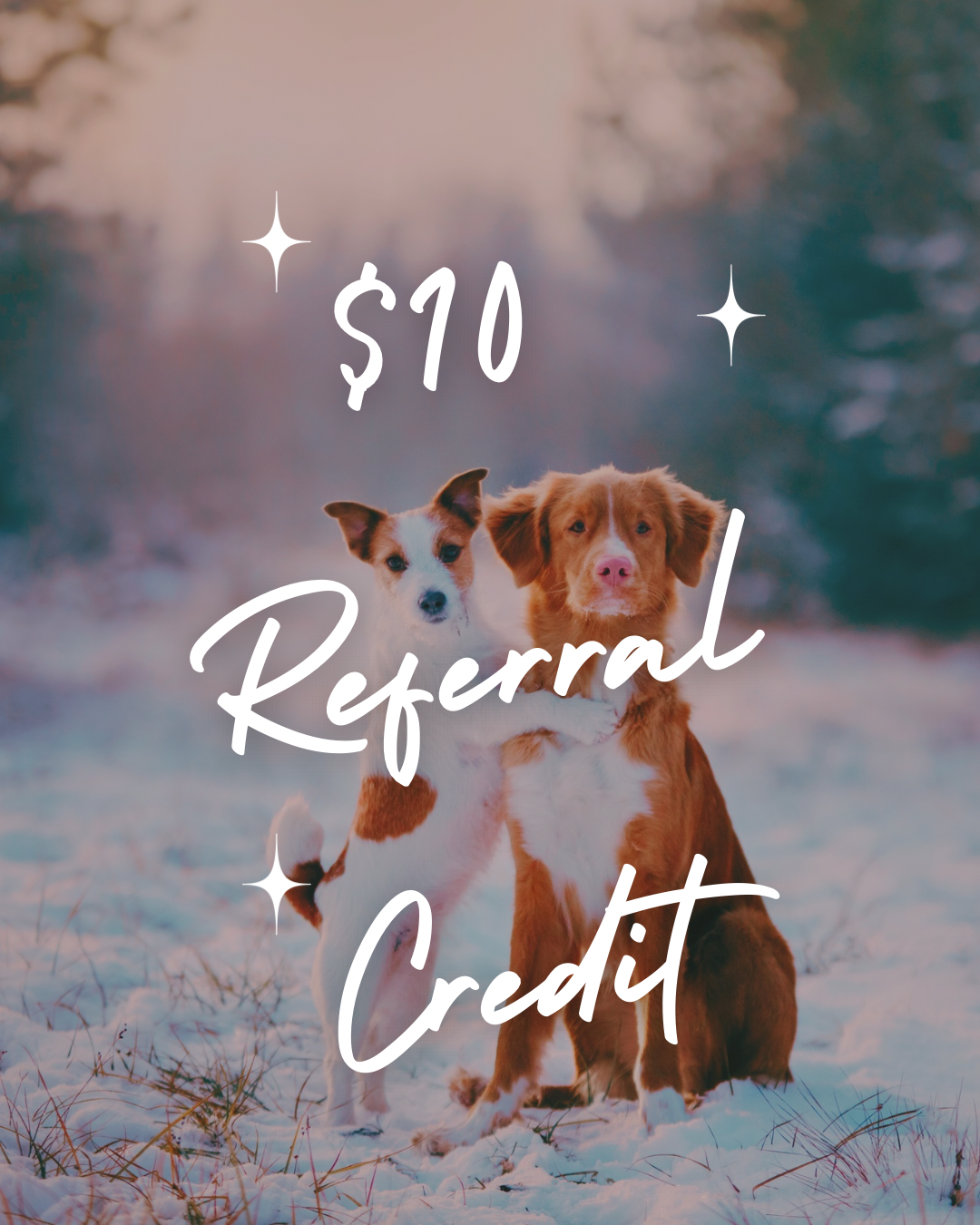 $10 Referral Credit.png