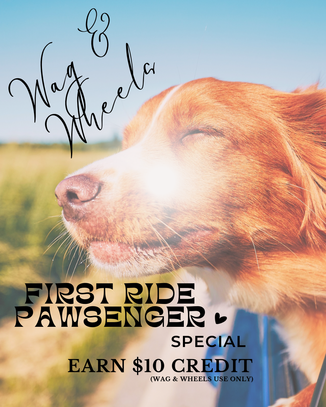 WAG & WHEELS FIRST RIDE PAWSENGER SPECIAL.PNG