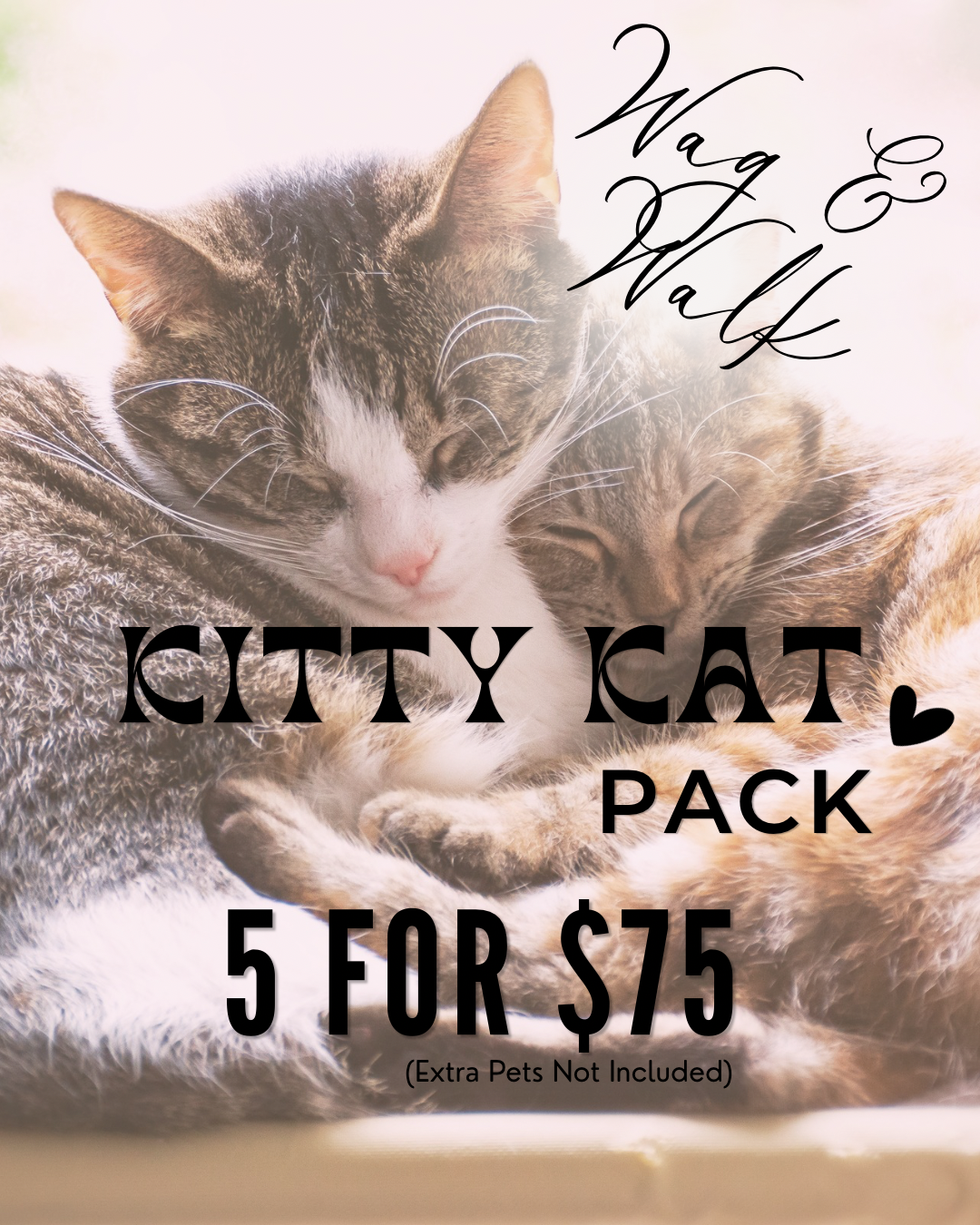 5 for $75 KITTY KAT PACK.PNG