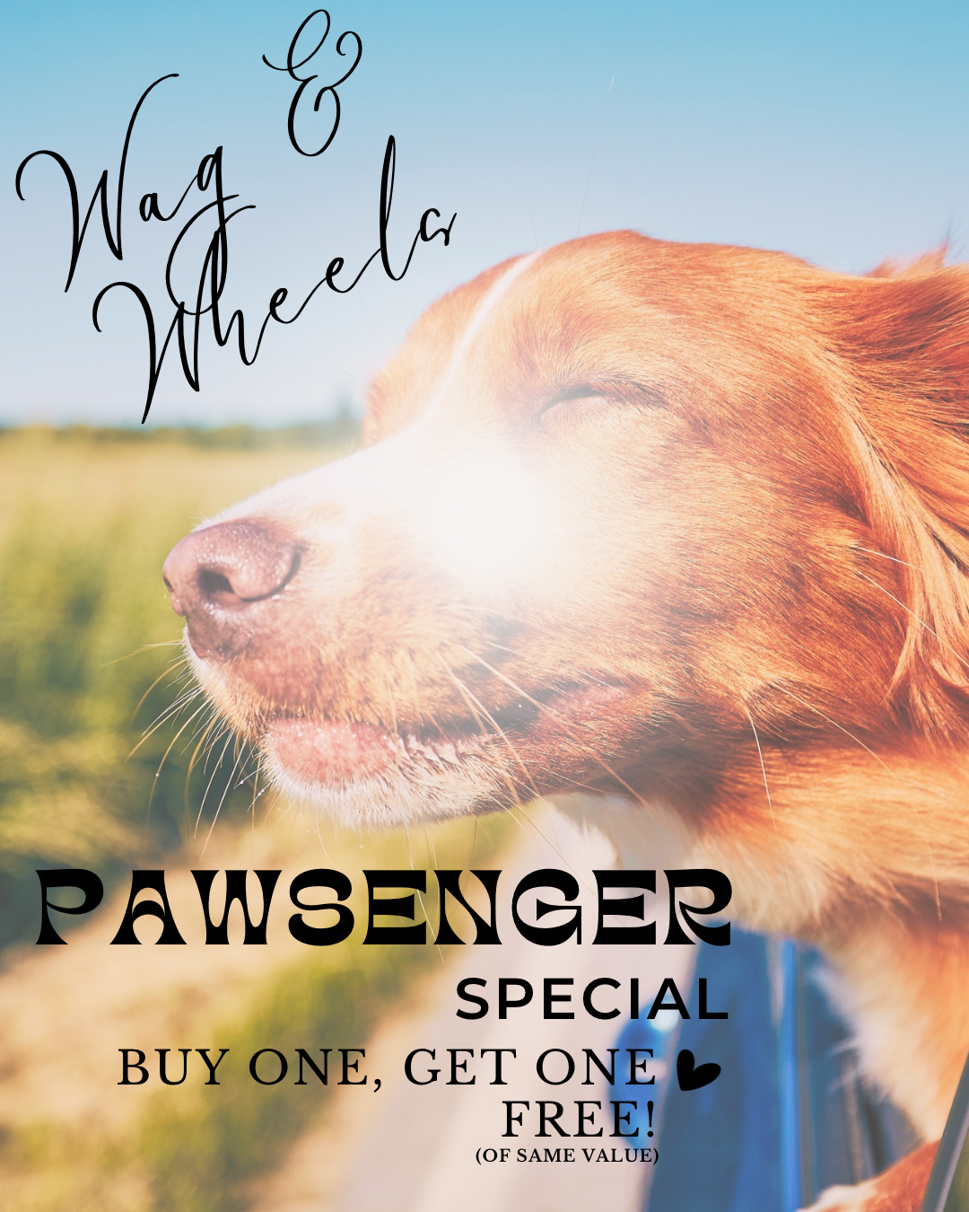 PAWSENGER SPECIAL.png