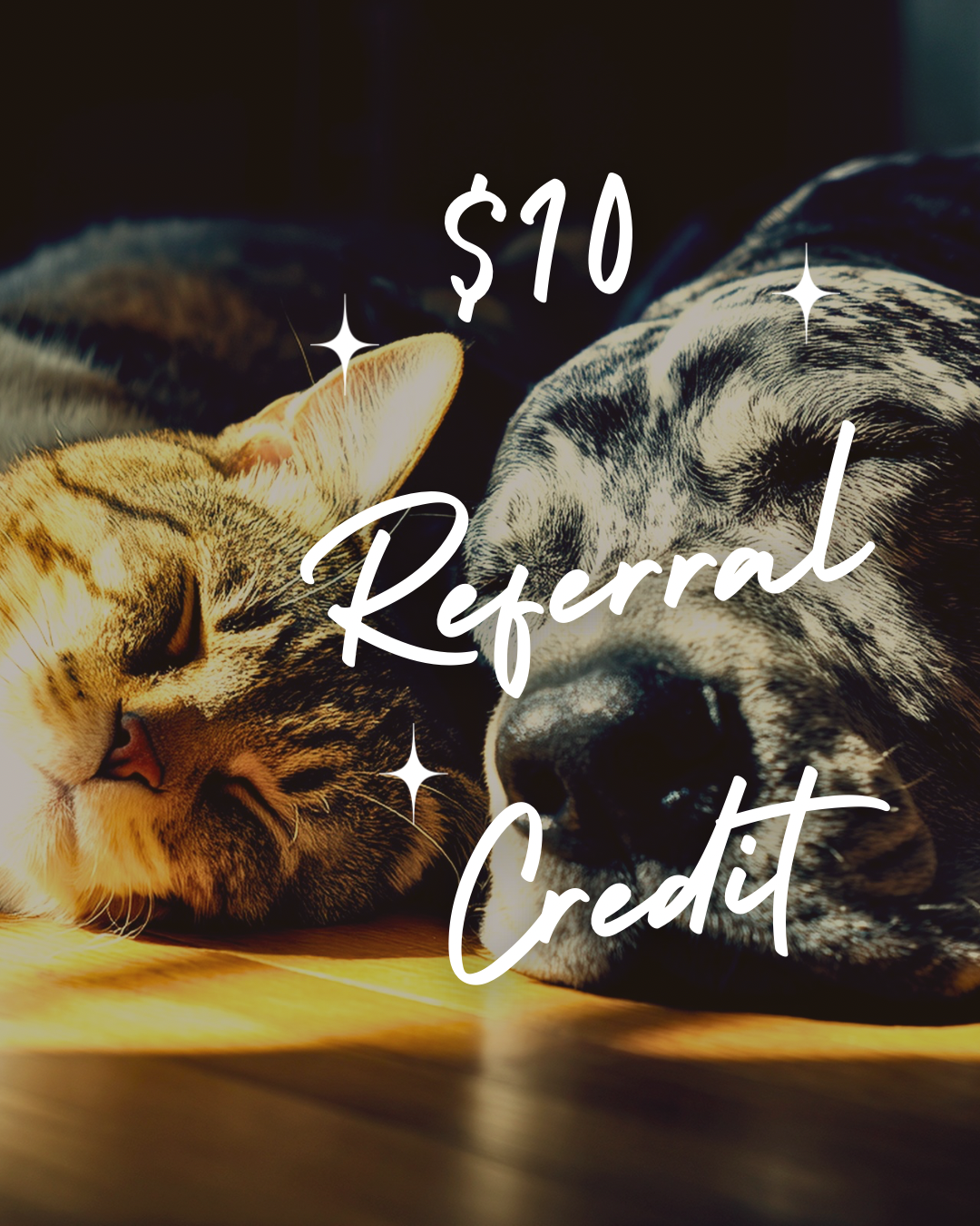 $10 Referral Credit JULY.PNG