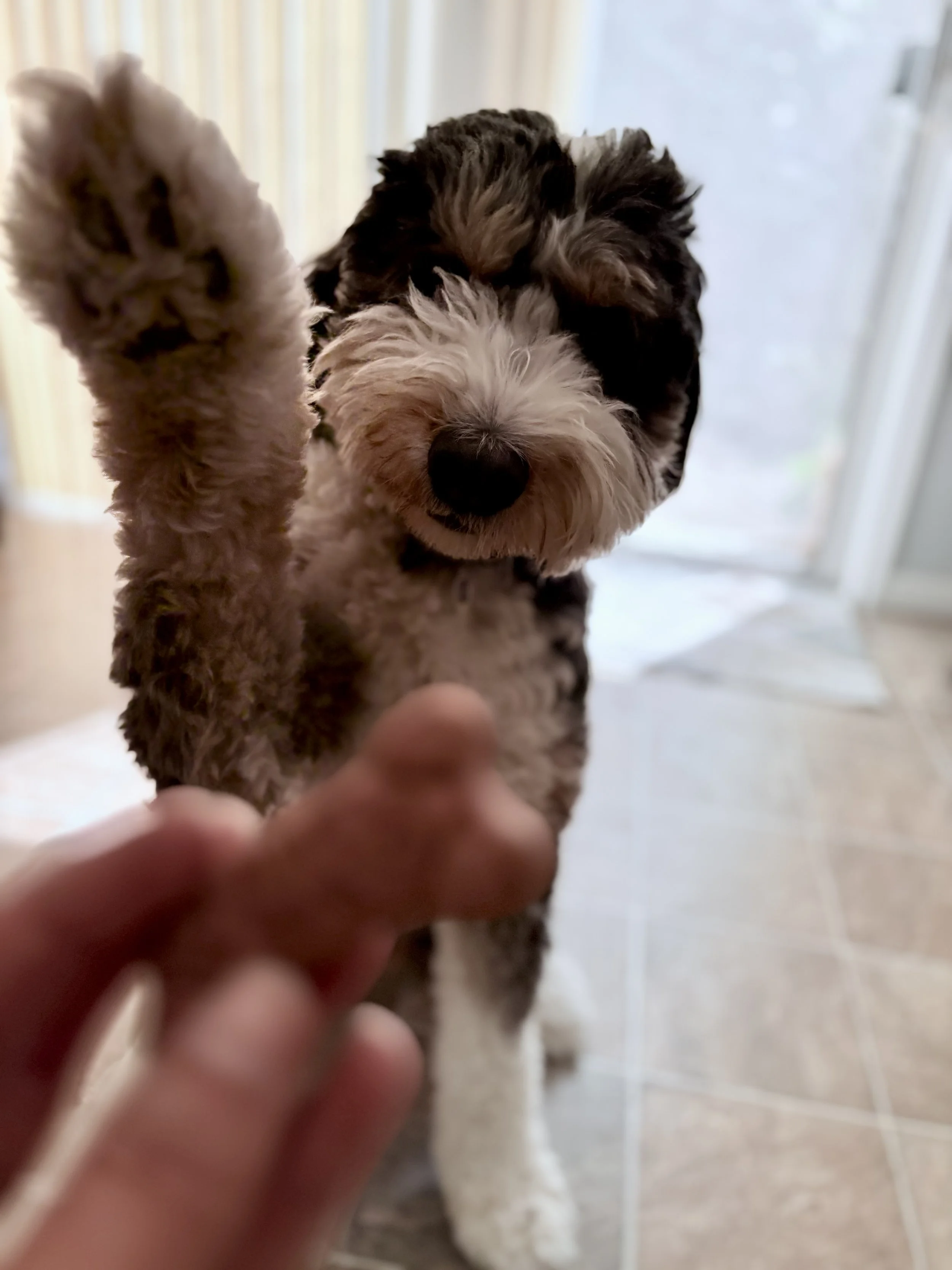 IMG_2158.jpeg