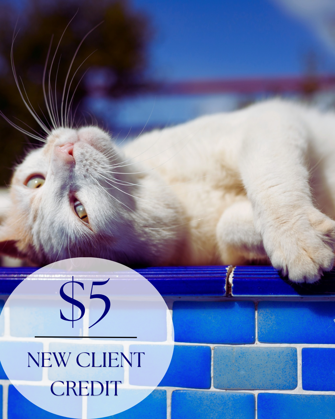 $5 New Client Credit Special June.png