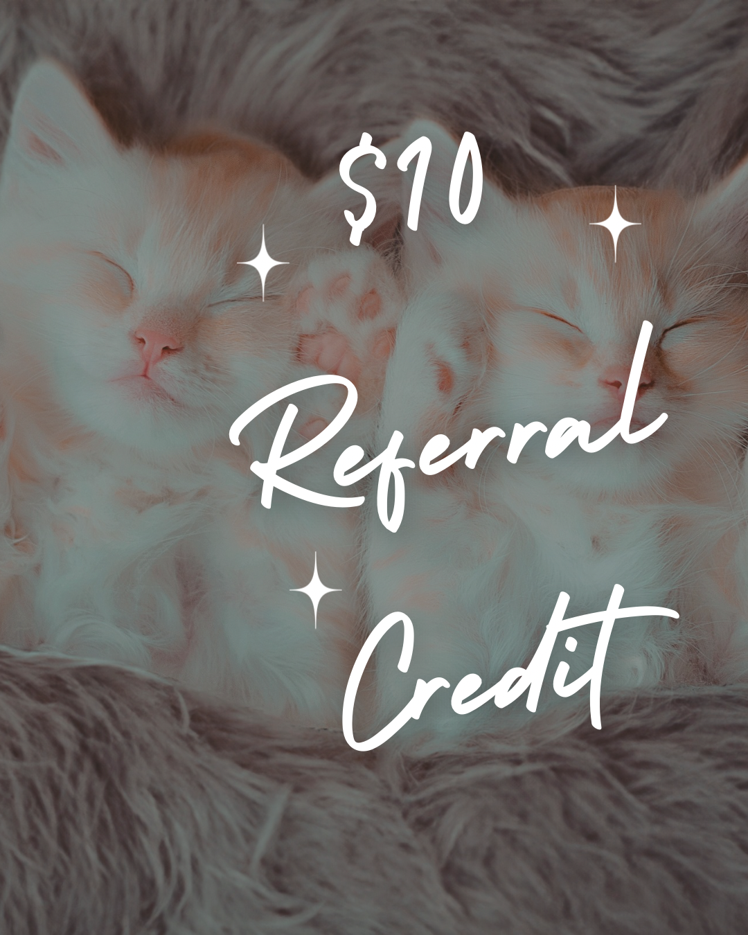 $10 Referral Credit APRIL.png