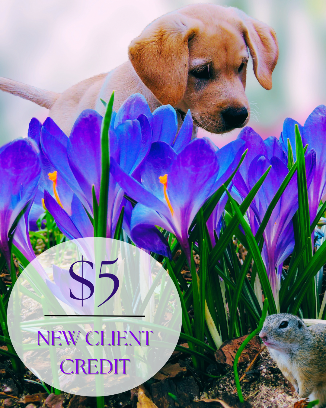 Copy of $5 New Client Credit MARCH - 1.png