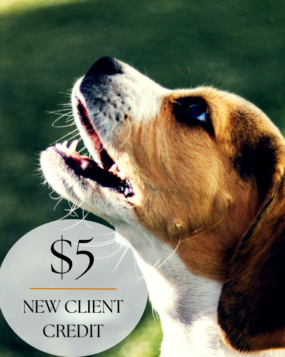 $5 New Client Credit Special JULY.PNG