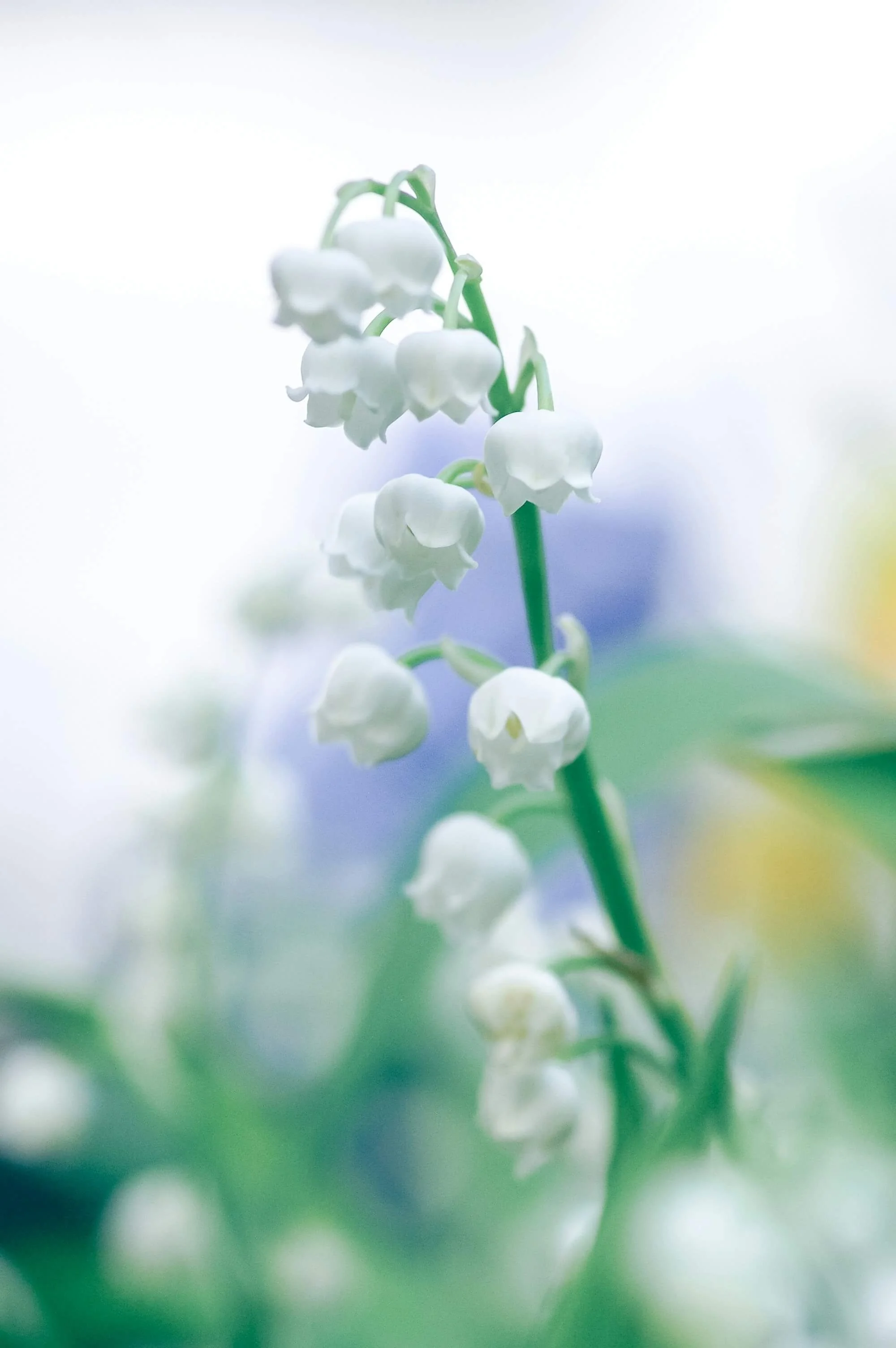 Pain Reprocessing Therapy: A Gentle Path Out of Chronic Pain