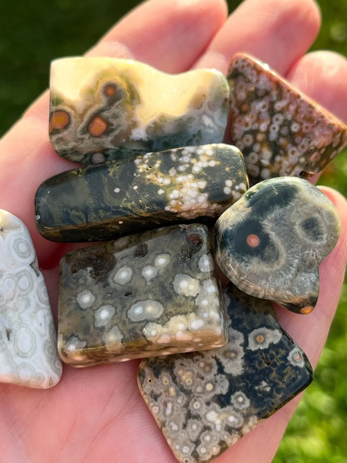 β¨π I’ll have a few different β¨newβ¨ crystals available at @thevintagebarnmarket this weekend, like this beautiful, orbicular Ocean Jasper!!
#oceanjasper #wildernesscrystals #crystals #tumbledstones #crystalshop