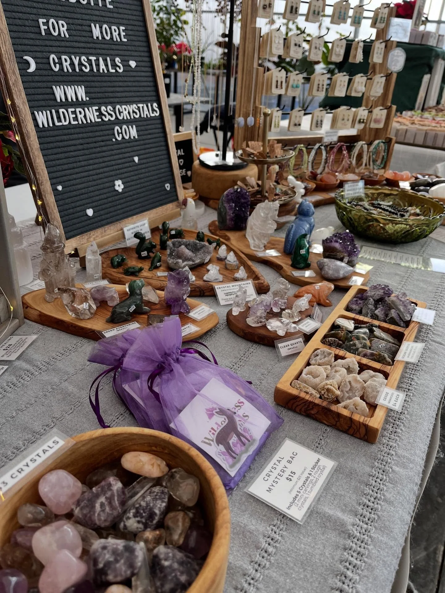 I&rsquo;m at @urbanjungleplantco in Abbotsford today from 10-4!!! ✨✨✨✨✨✨ It&rsquo;s beautiful and Christmassy in the greenhouse today! &hearts;️🎄