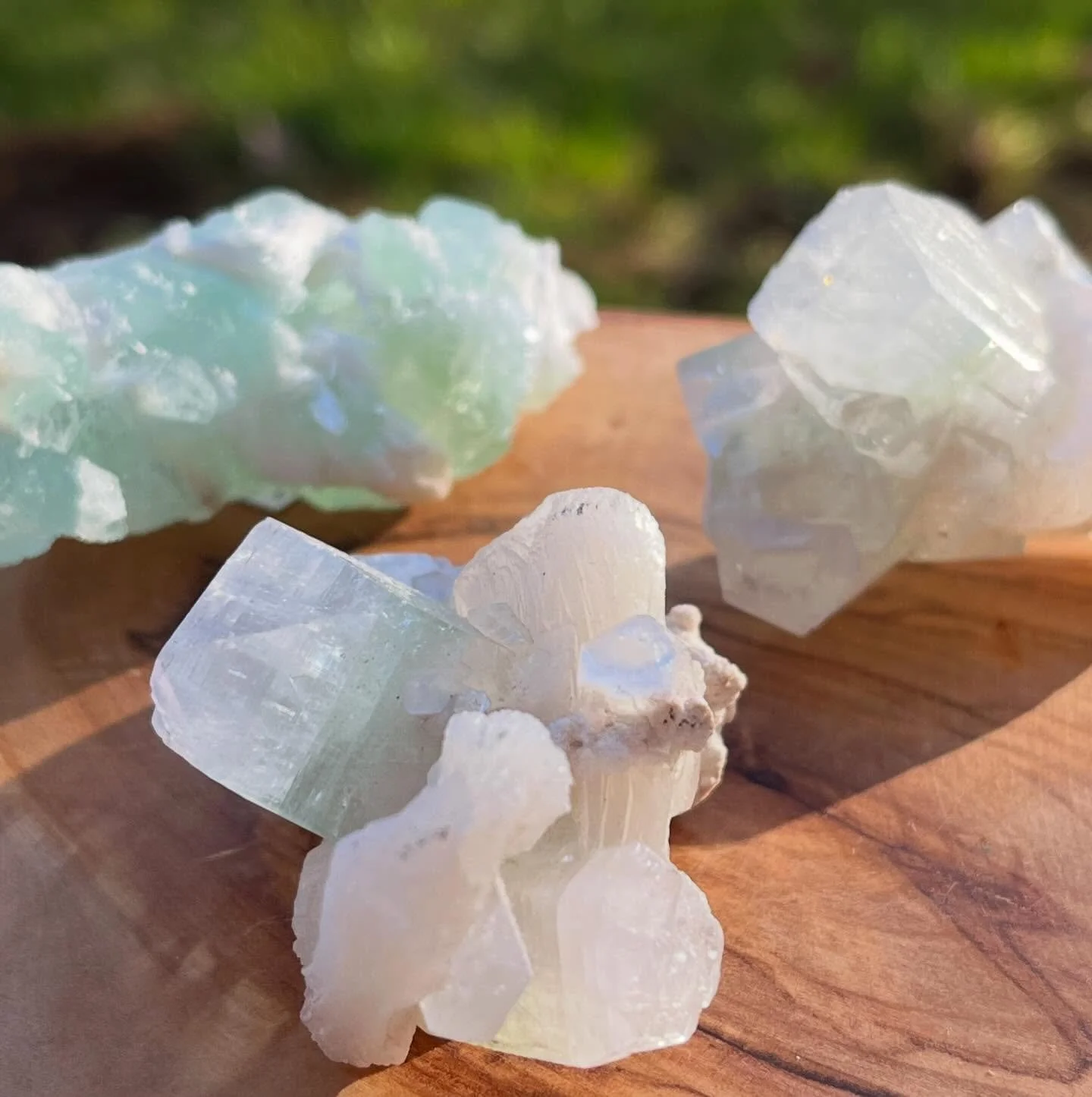 Green Apophyllite 😍💚🏔️ Mined in Nasik, Maharashtra, India. (Sourced directly from India). Much more rare than clear Apophyllite, although they&rsquo;re both beautiful and some of my favourite crystals 🤗❤️ Green Apophyllite also has some pretty un