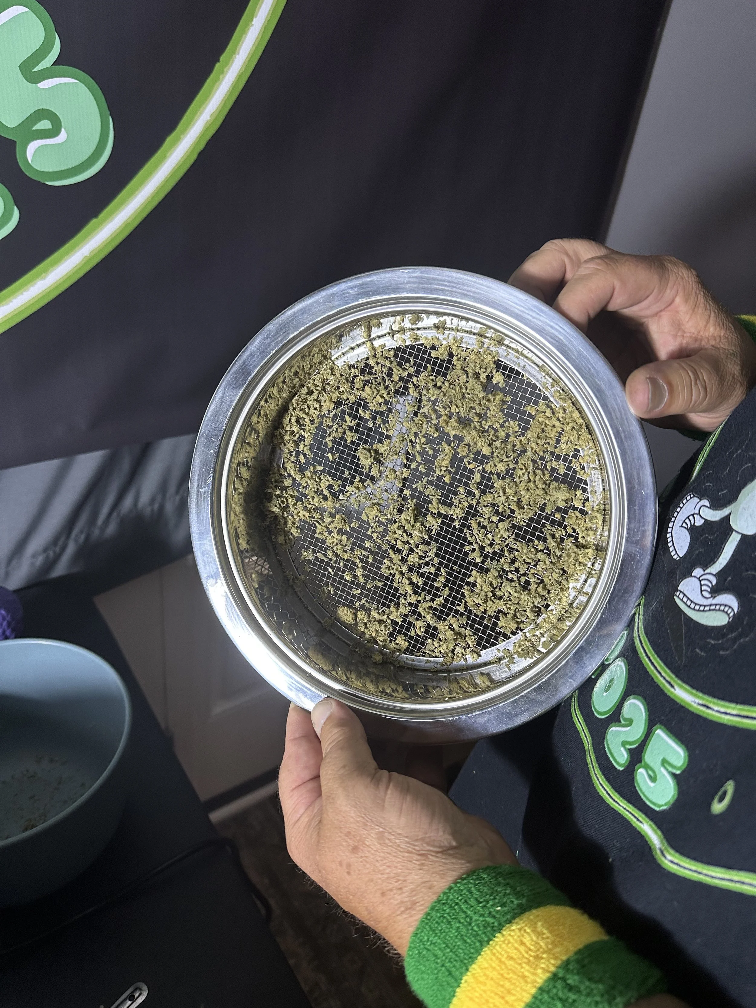 Person holding a metal grinder with ground cannabis inside. The person is wearing a green and yellow striped wristband and a black shirt with a colorful logo.