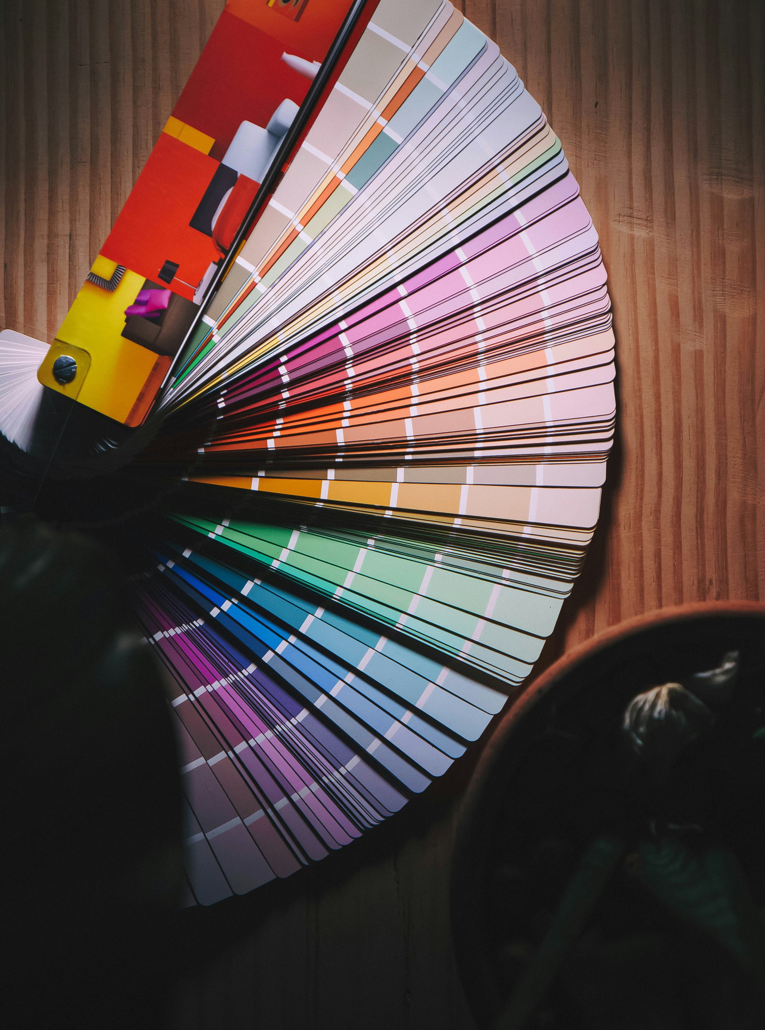 Fan of paint colour swatches showcasing vibrant options for interior and exterior painting services by CGC Property Solutions and Capital G Construction in Tauranga