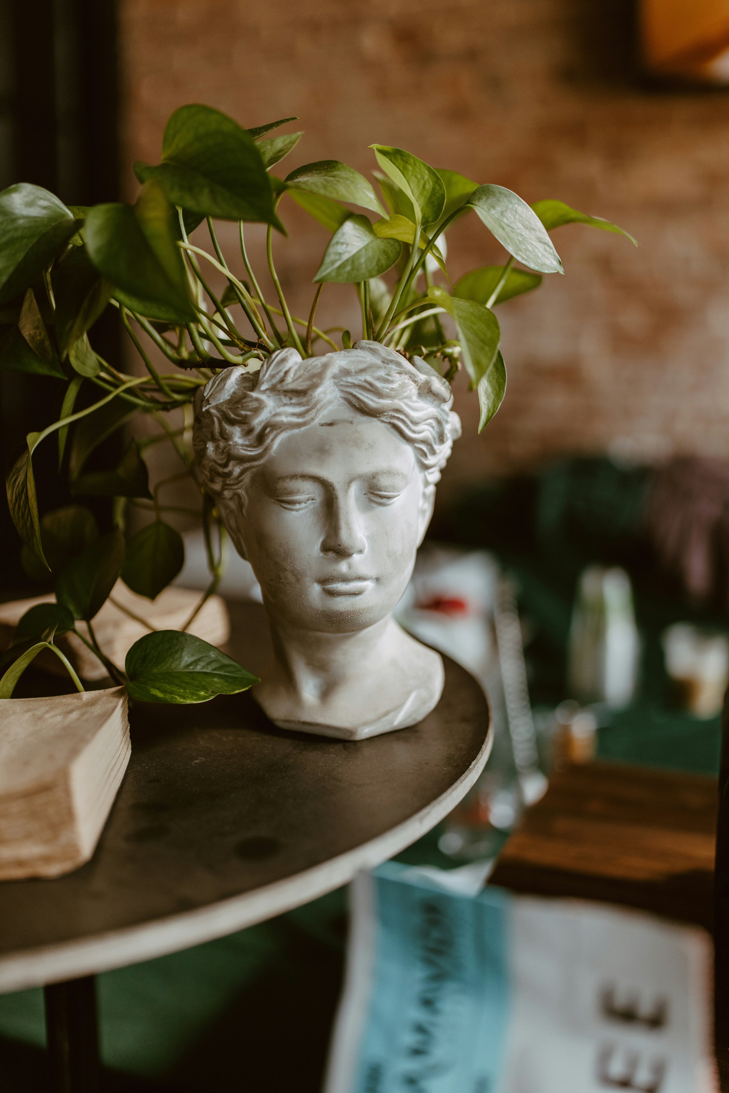 Indoor plant in decorative head-shaped pot representing CGC Property Solutions’ approach to garden design, soft landscaping, and greenery integration across Tauranga and Bay of Plenty