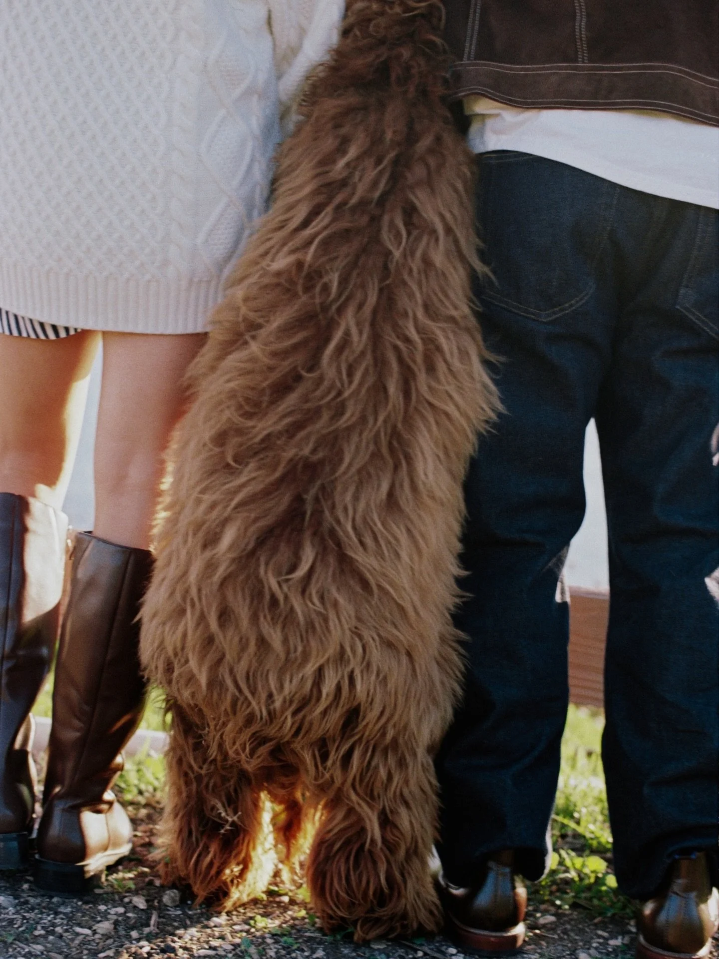 Why yes, of course you can bring your dog to your shoot!!

Film frames from Rancho Palos Verdes, California. Officially one of my favourite places to photograph at. 🌊