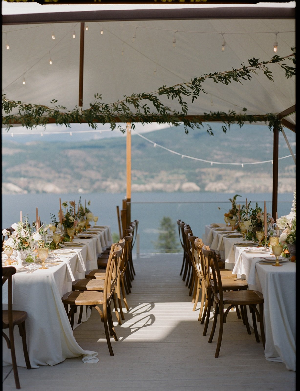 A dreamy vineyard wedding with @whitehavenweddings a couple of years ago 🤍