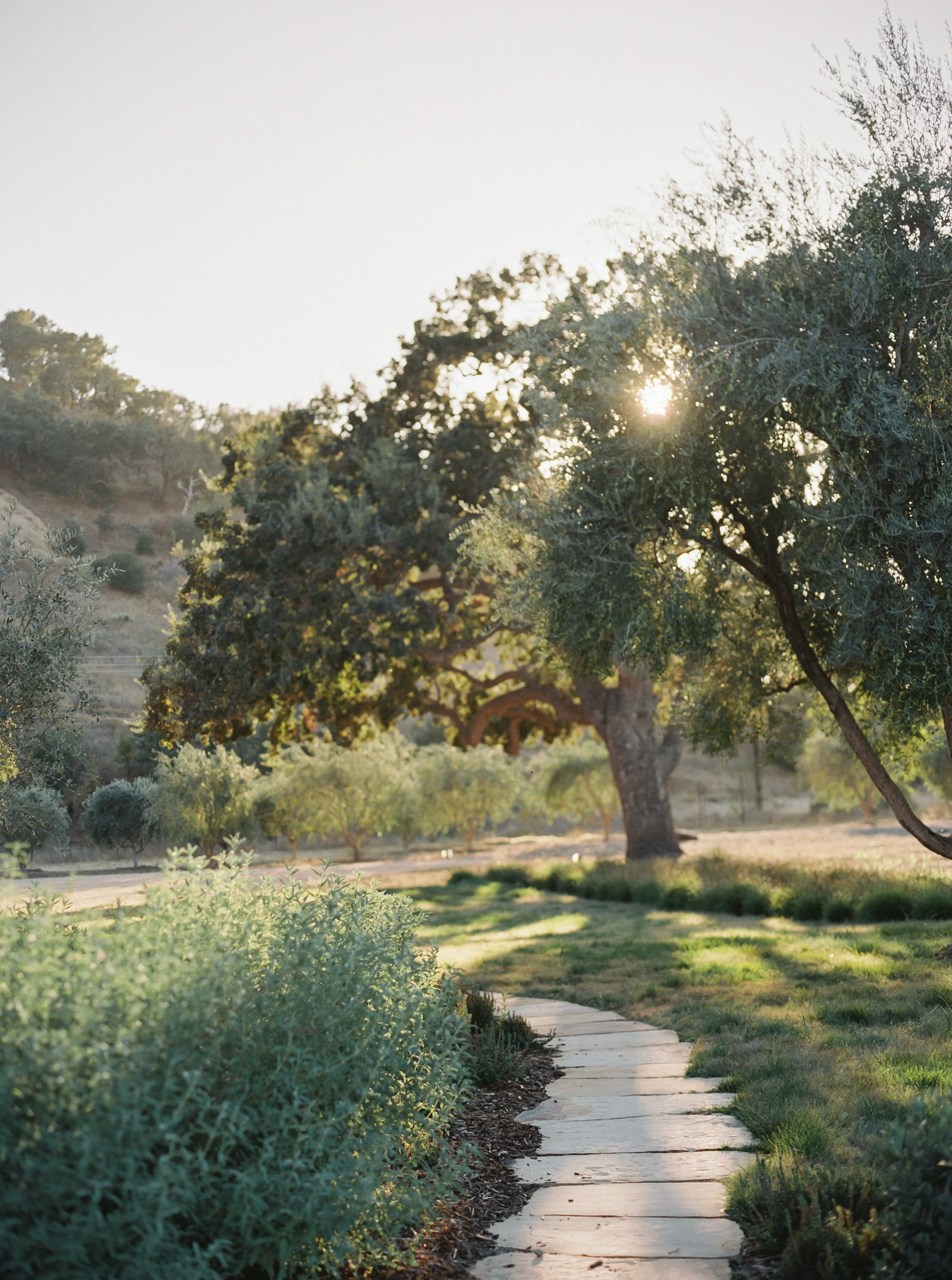 SantaYnezSunset_JenzelVeloPhotography.jpg