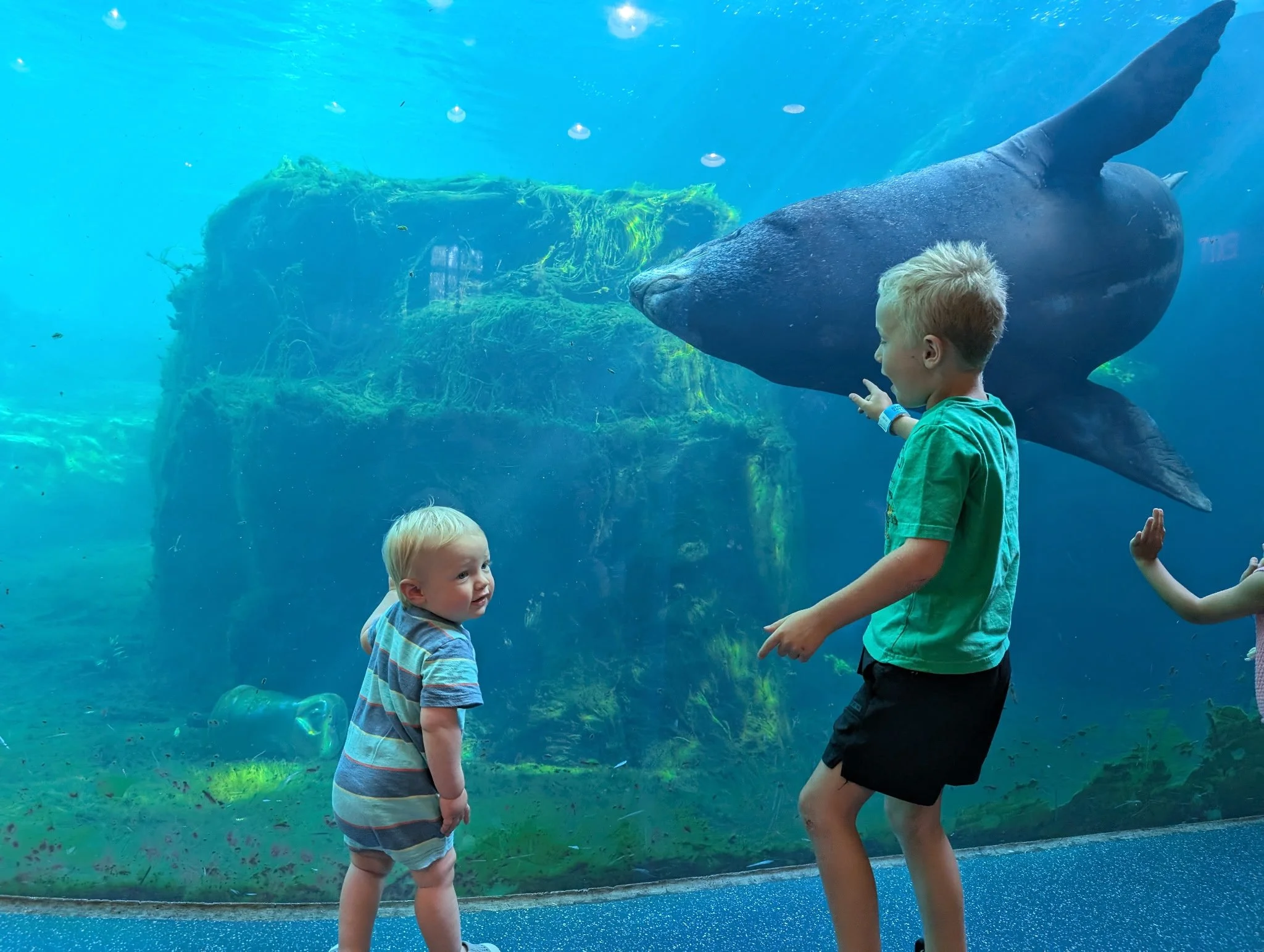 How to Navigate Overstimulation at Popular Summer Destinations in Columbia, SC